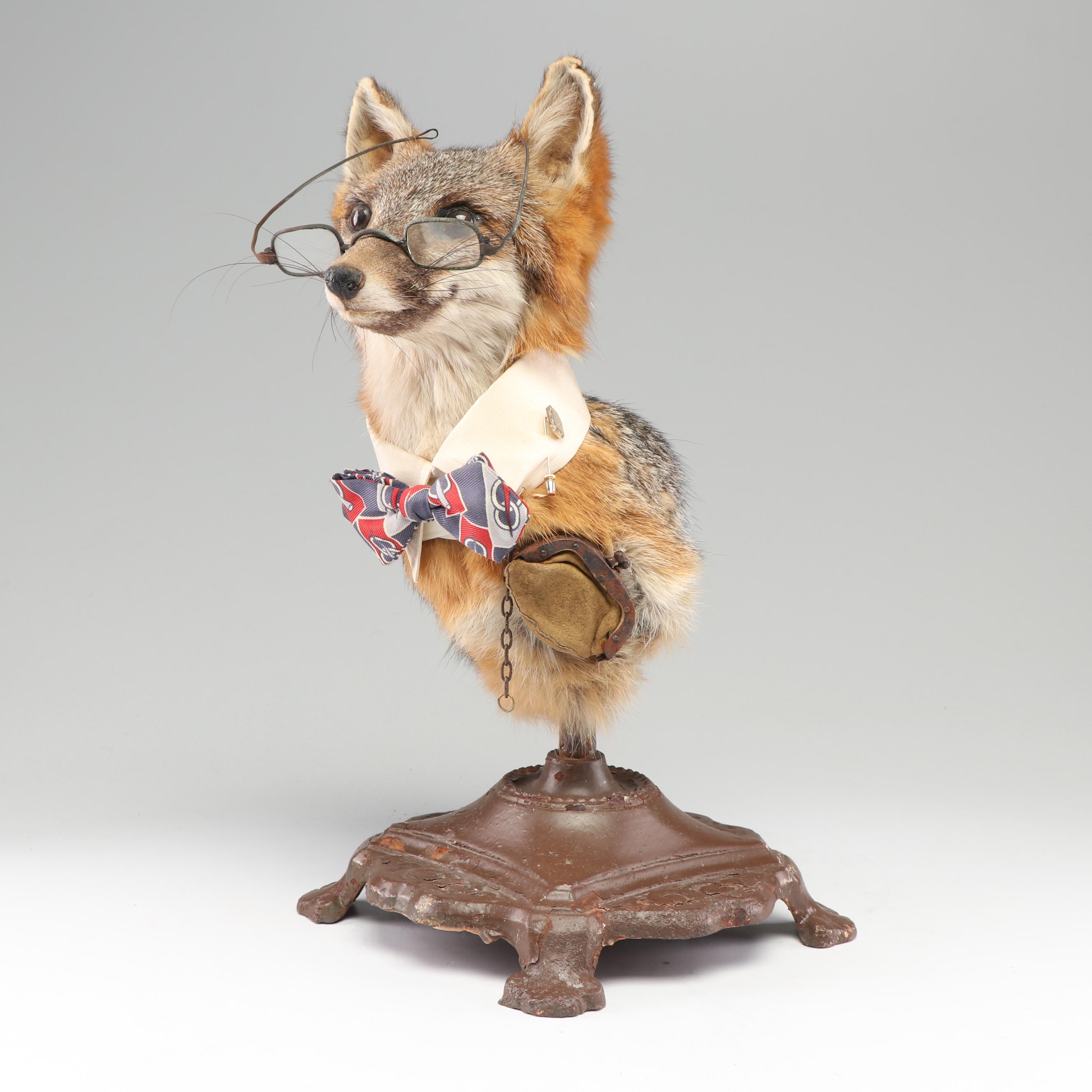 "A Gentleman Fox" Taxidermy Embellished Red Fox Mount