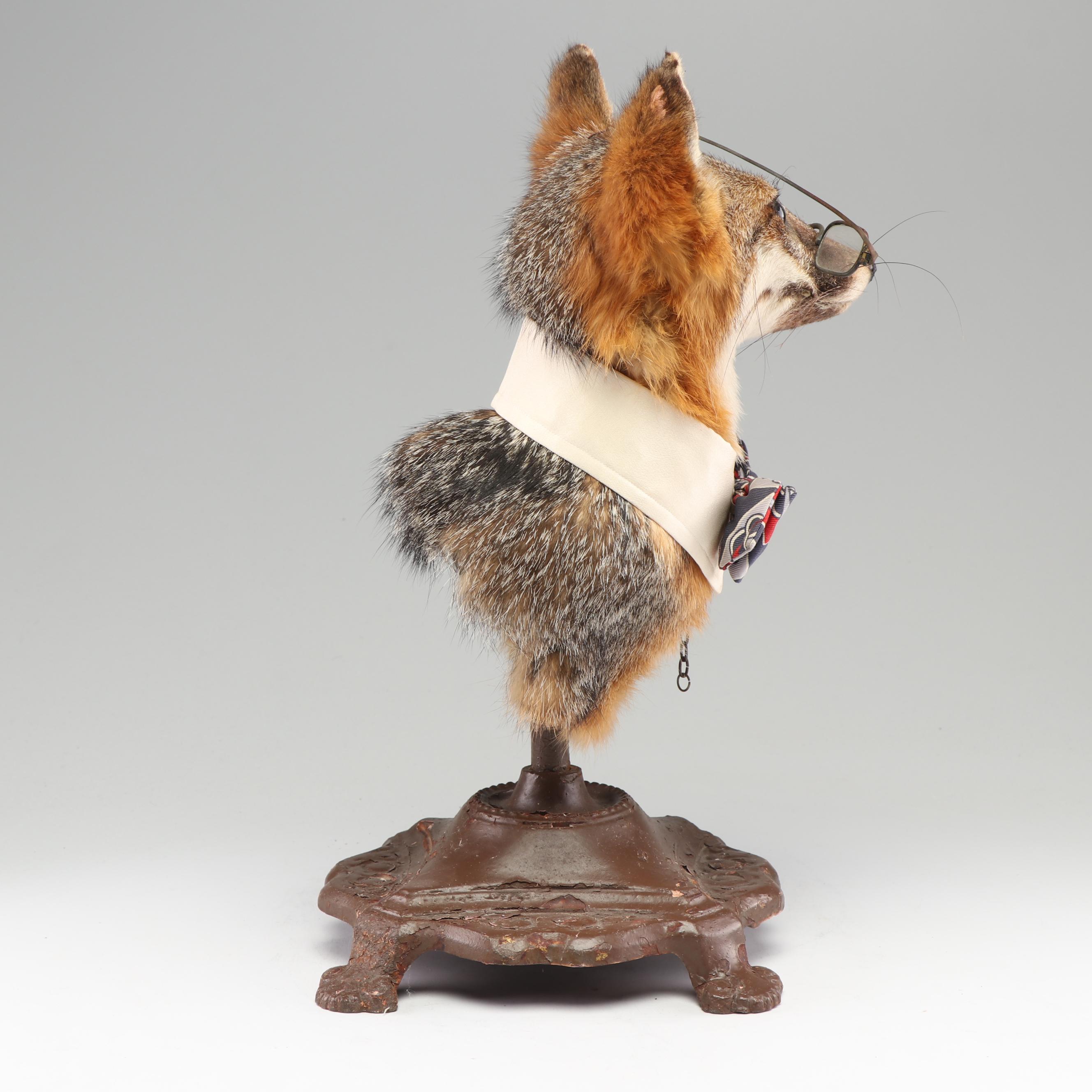 "A Gentleman Fox" Taxidermy Embellished Red Fox Mount