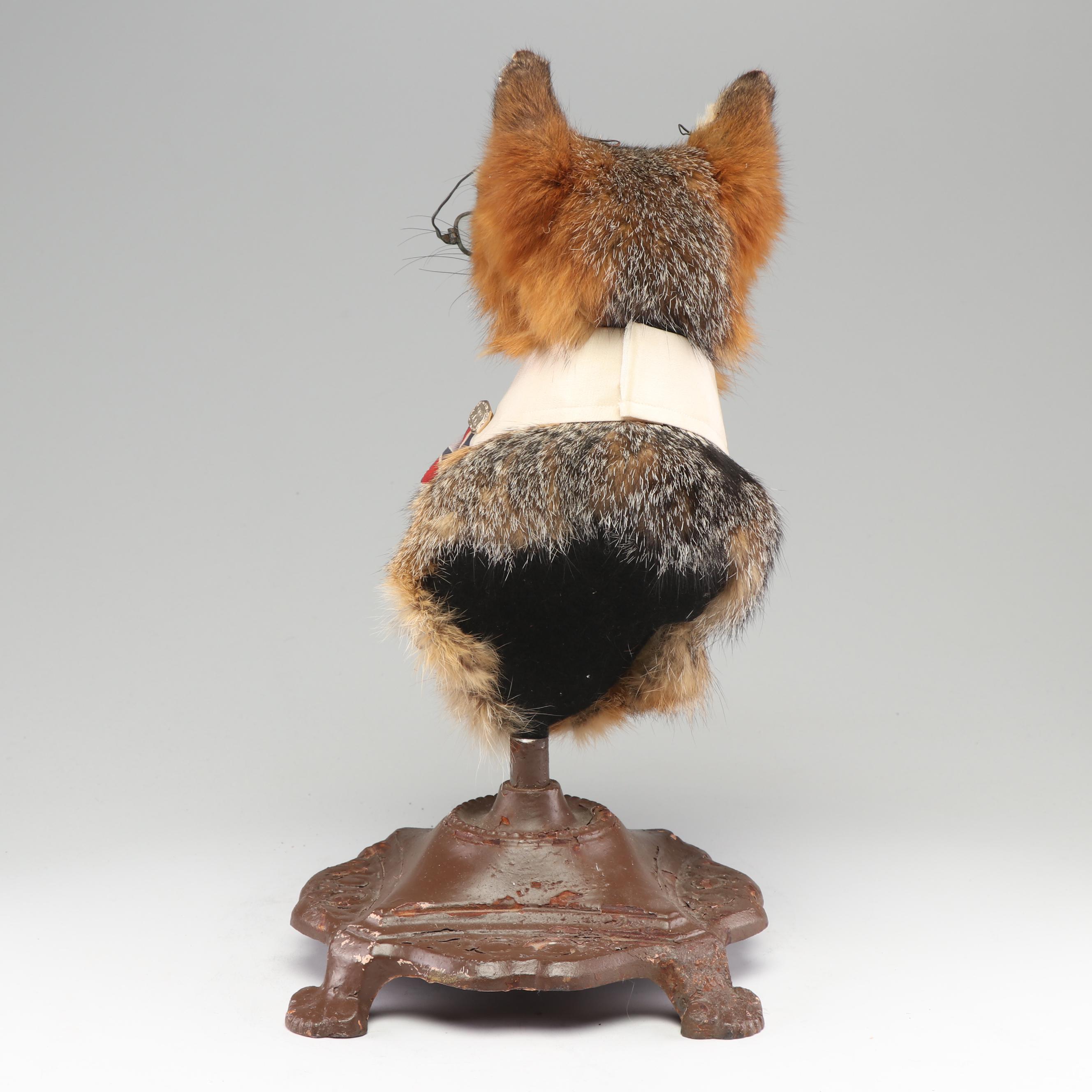 "A Gentleman Fox" Taxidermy Embellished Red Fox Mount