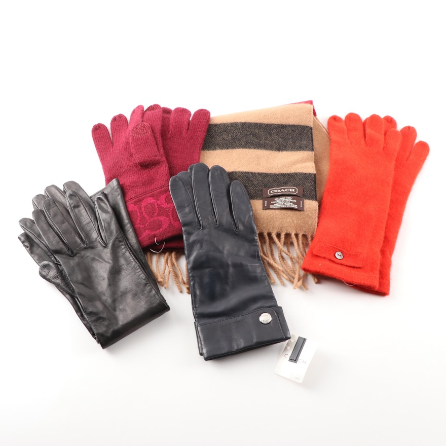 Coach Scarf and Gloves, Carolina Amato Cashmere Gloves