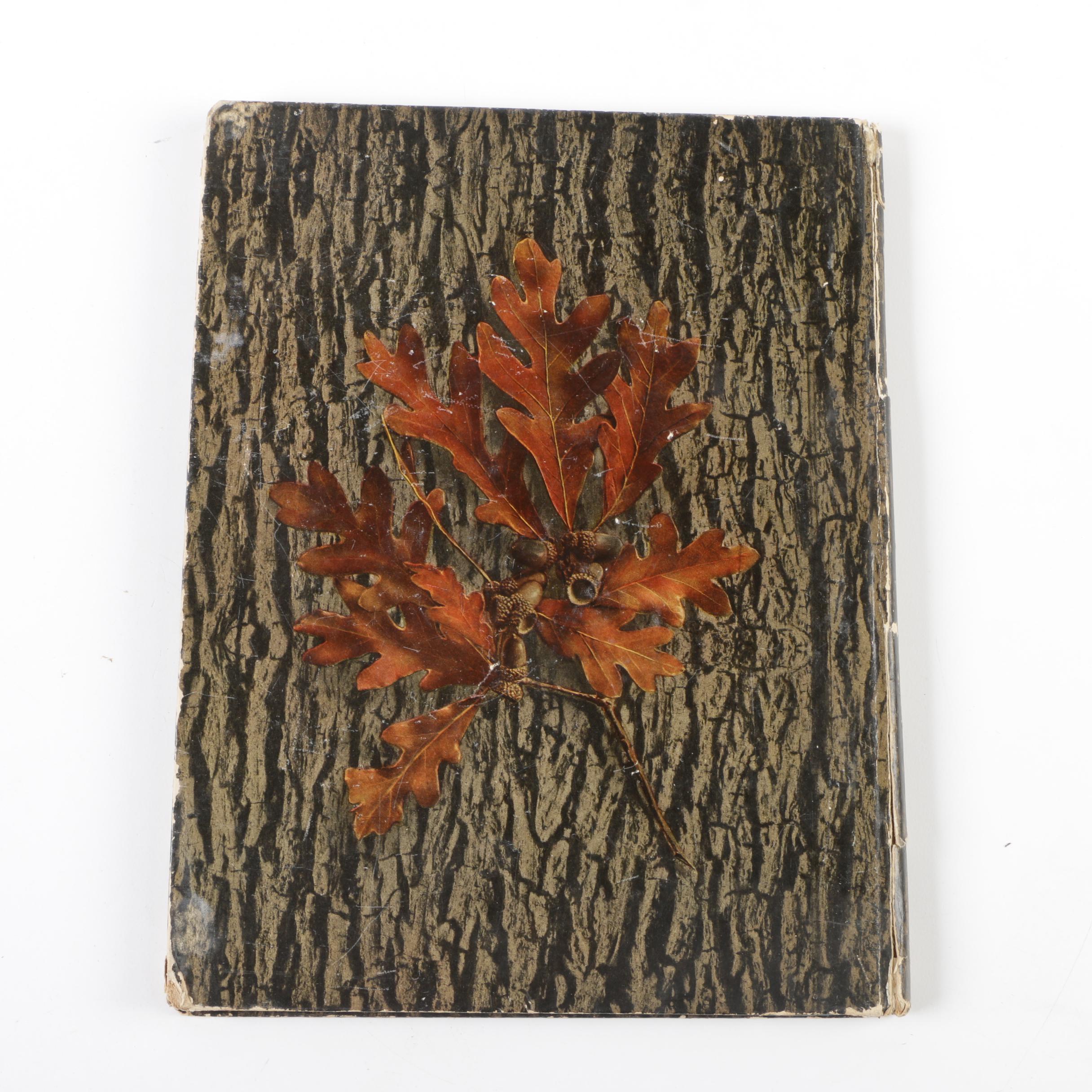 1912 "A New Chapter in an Old Story" by Remington Arms-Union