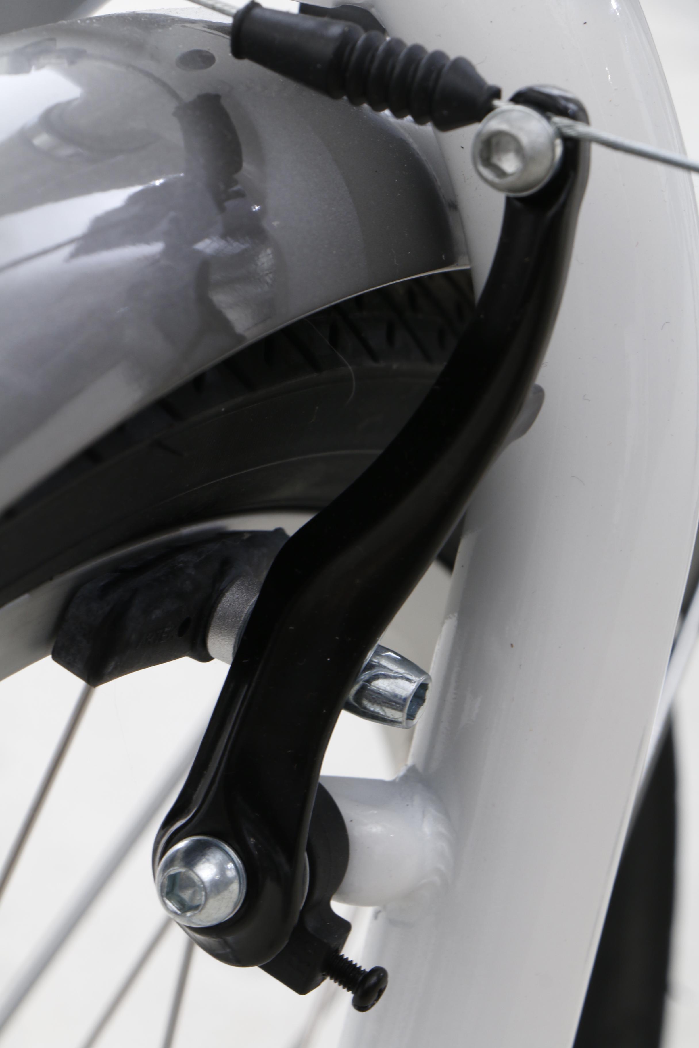 Schwinn "Meridian" Adult Tricycle with Basket