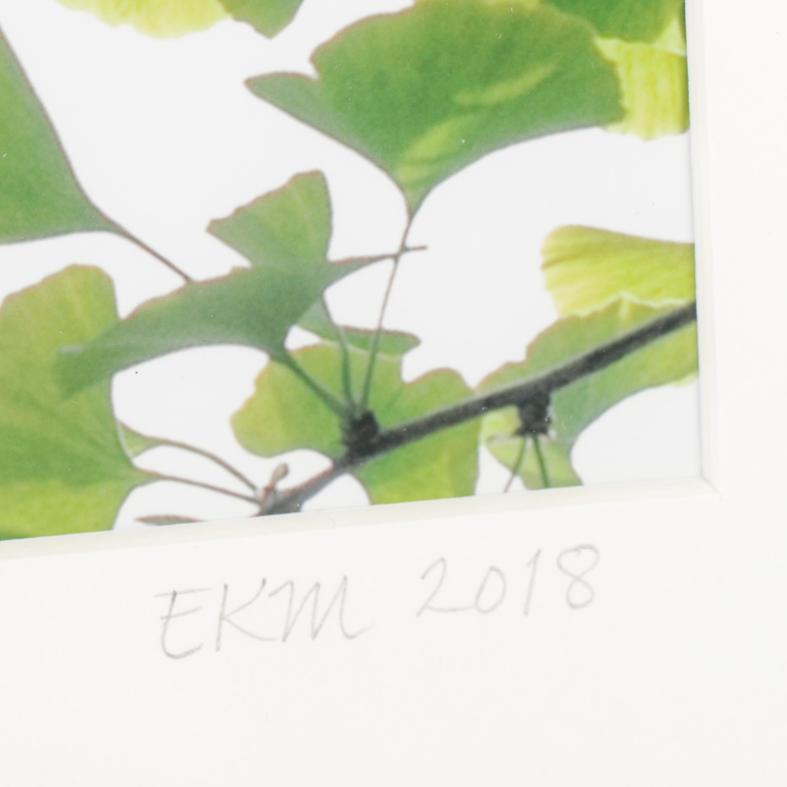 Erin McCarthy Print "Gingko Study I"