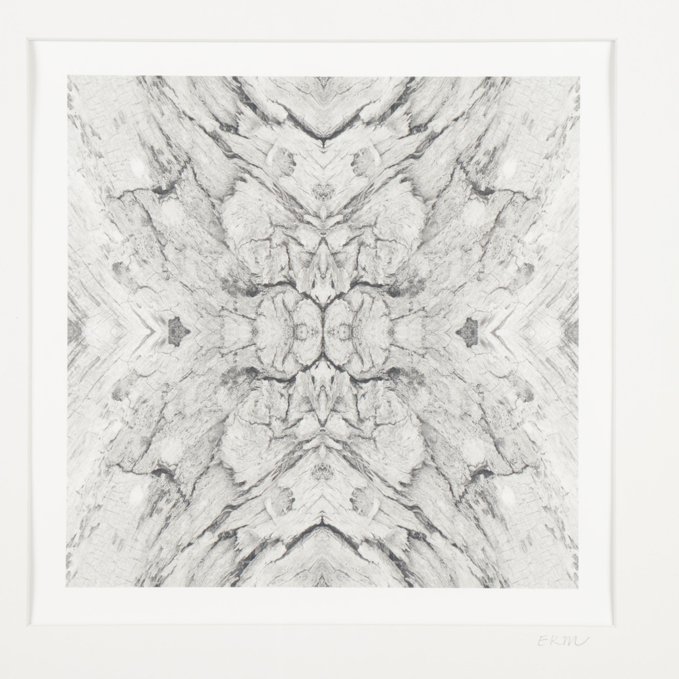 Erin McCarthy Print "Driftwood 1"