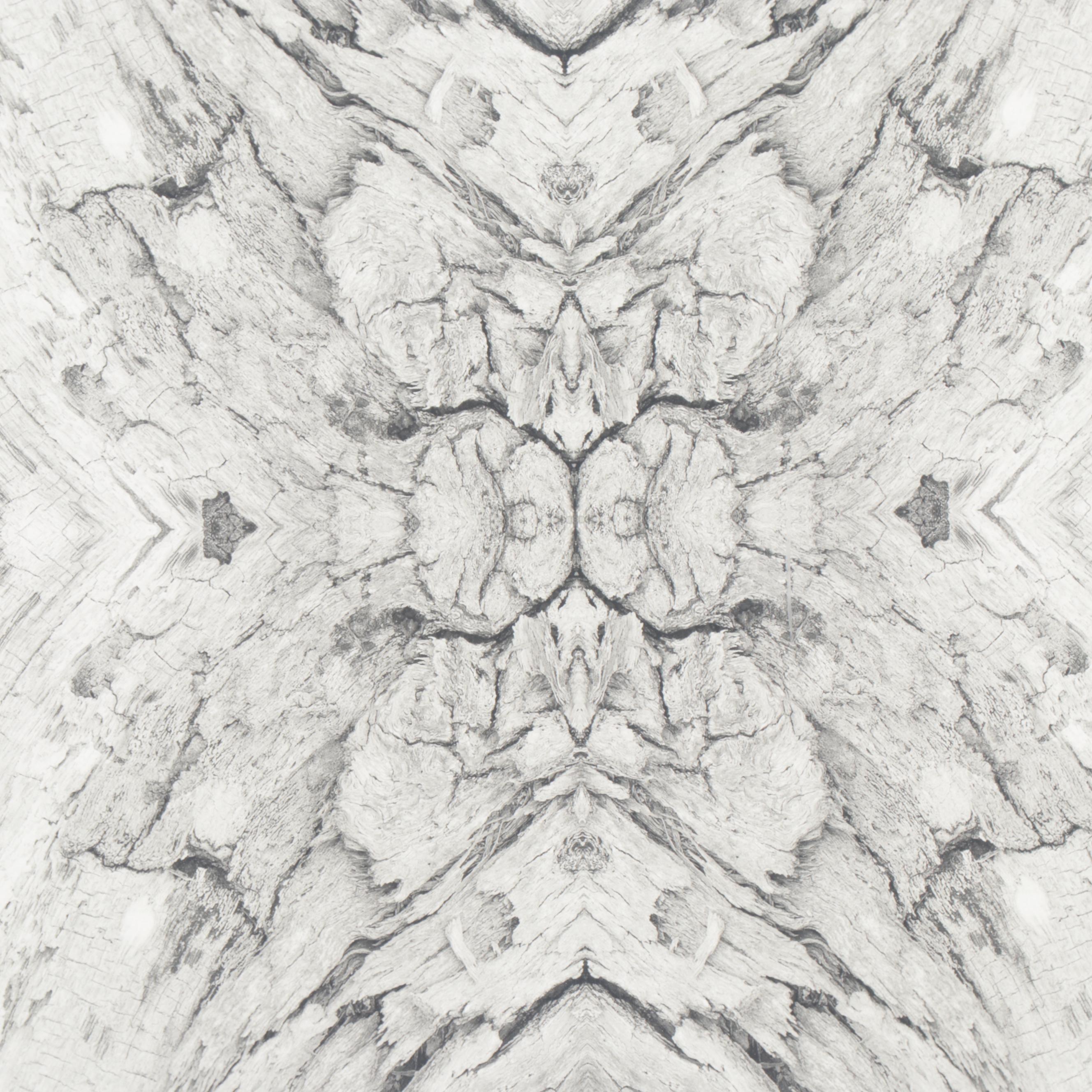 Erin McCarthy Print "Driftwood 1"