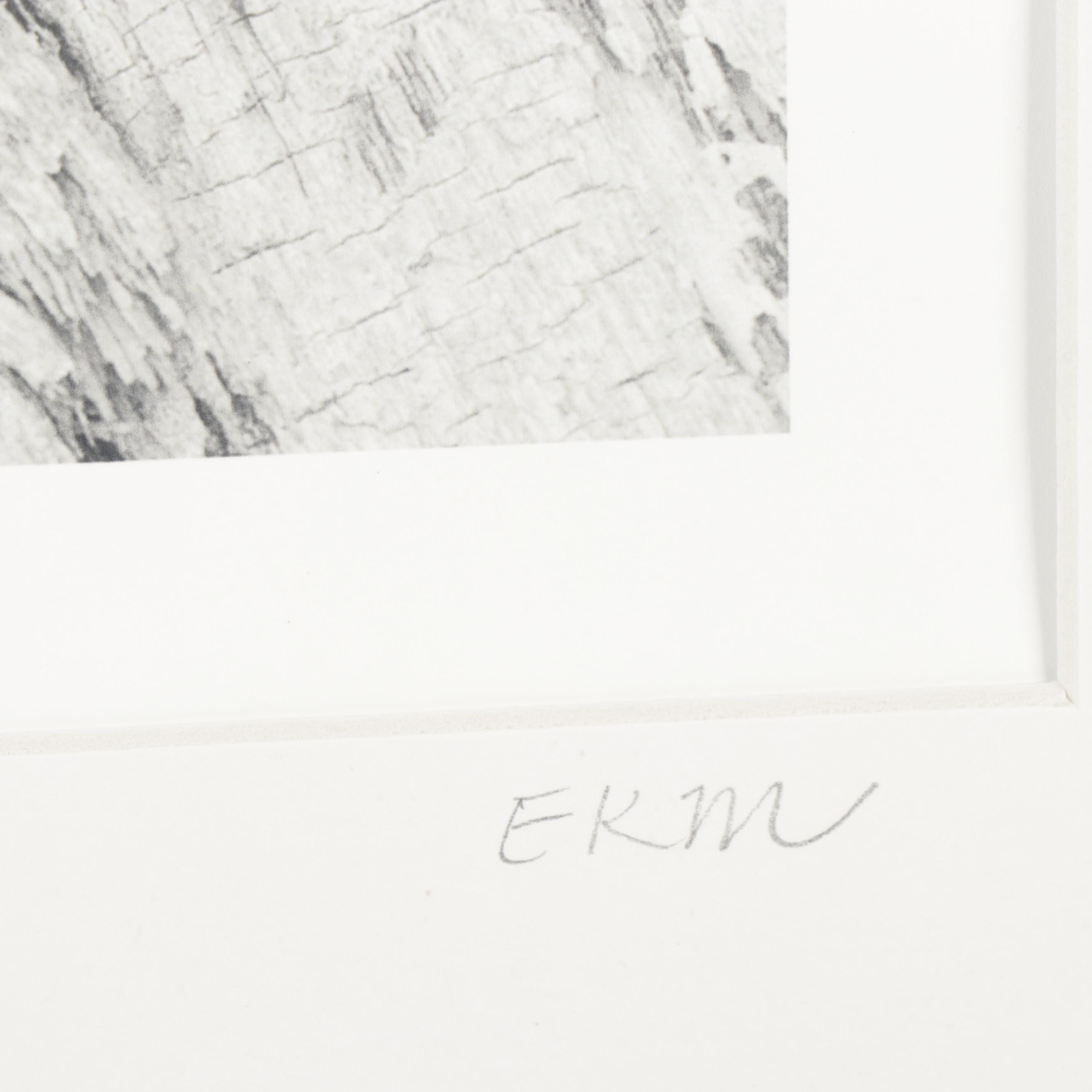 Erin McCarthy Print "Driftwood 1"