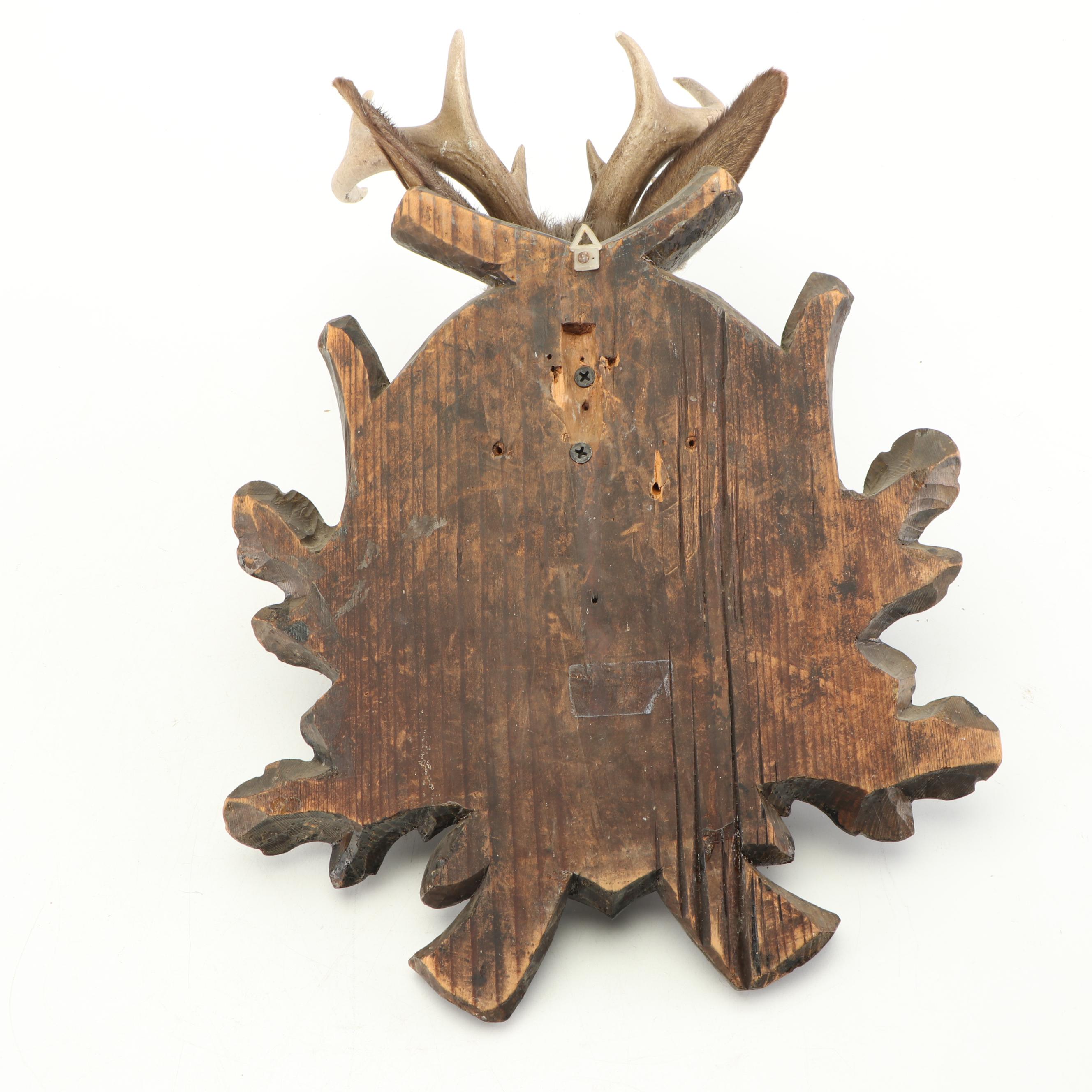 Taxidermy Embellished "Jackalope" Mount