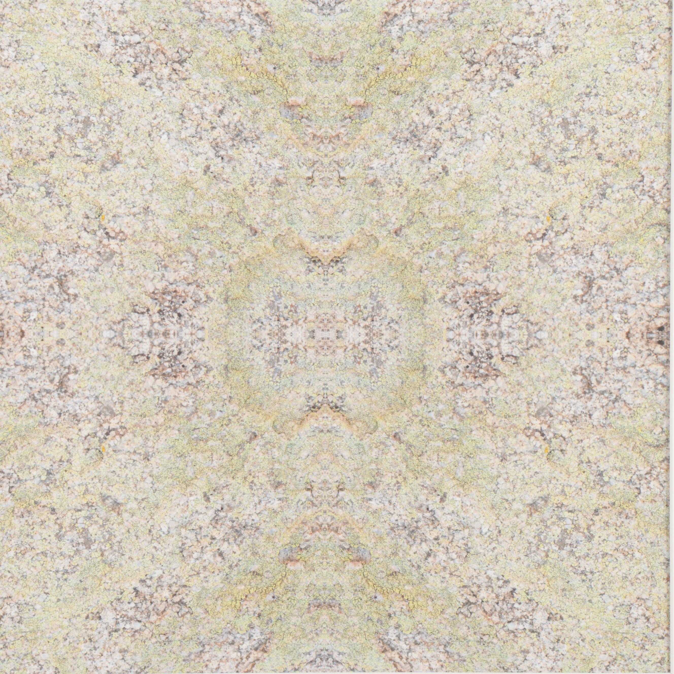Erin McCarthy Print "Lichen on Granite"