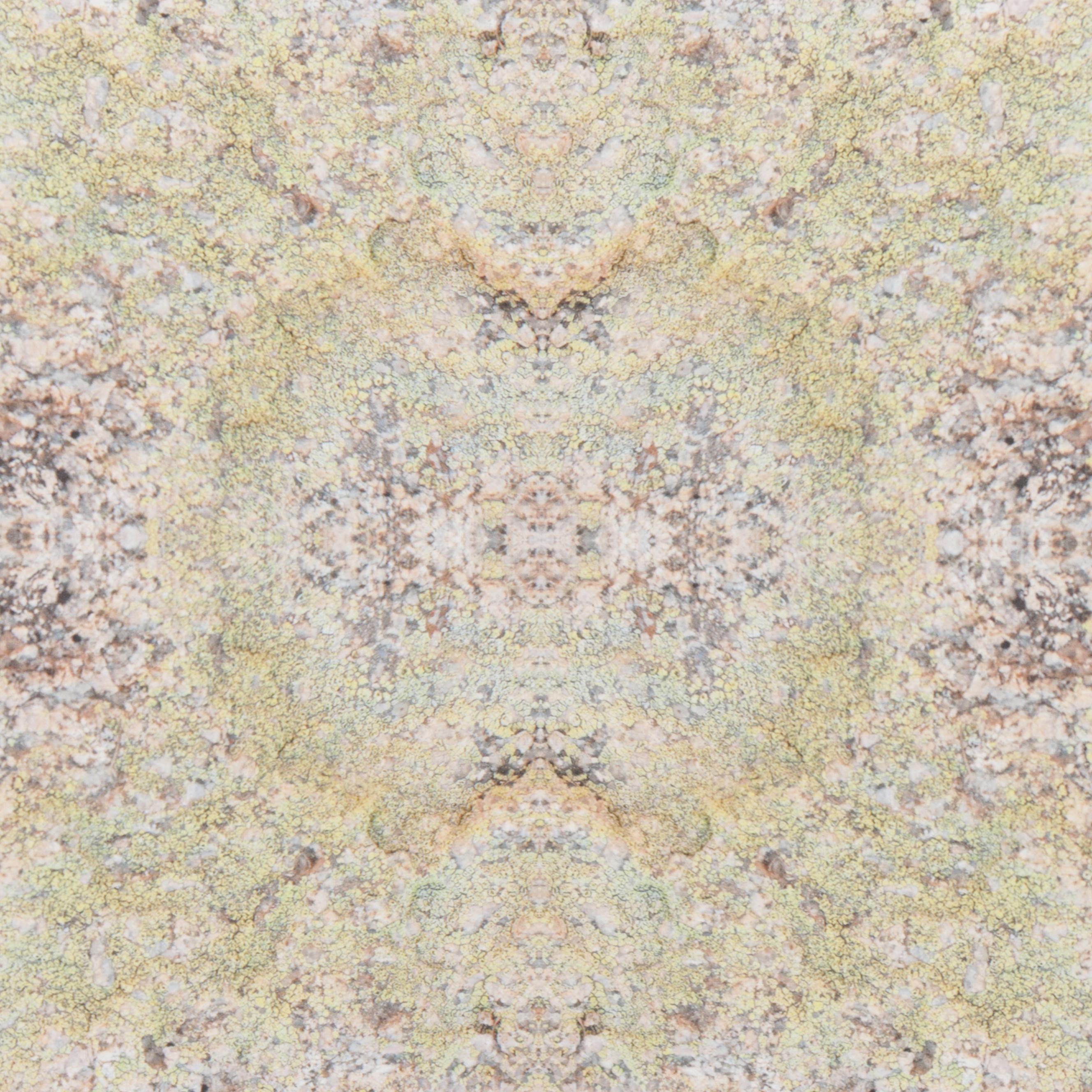 Erin McCarthy Print "Lichen on Granite"