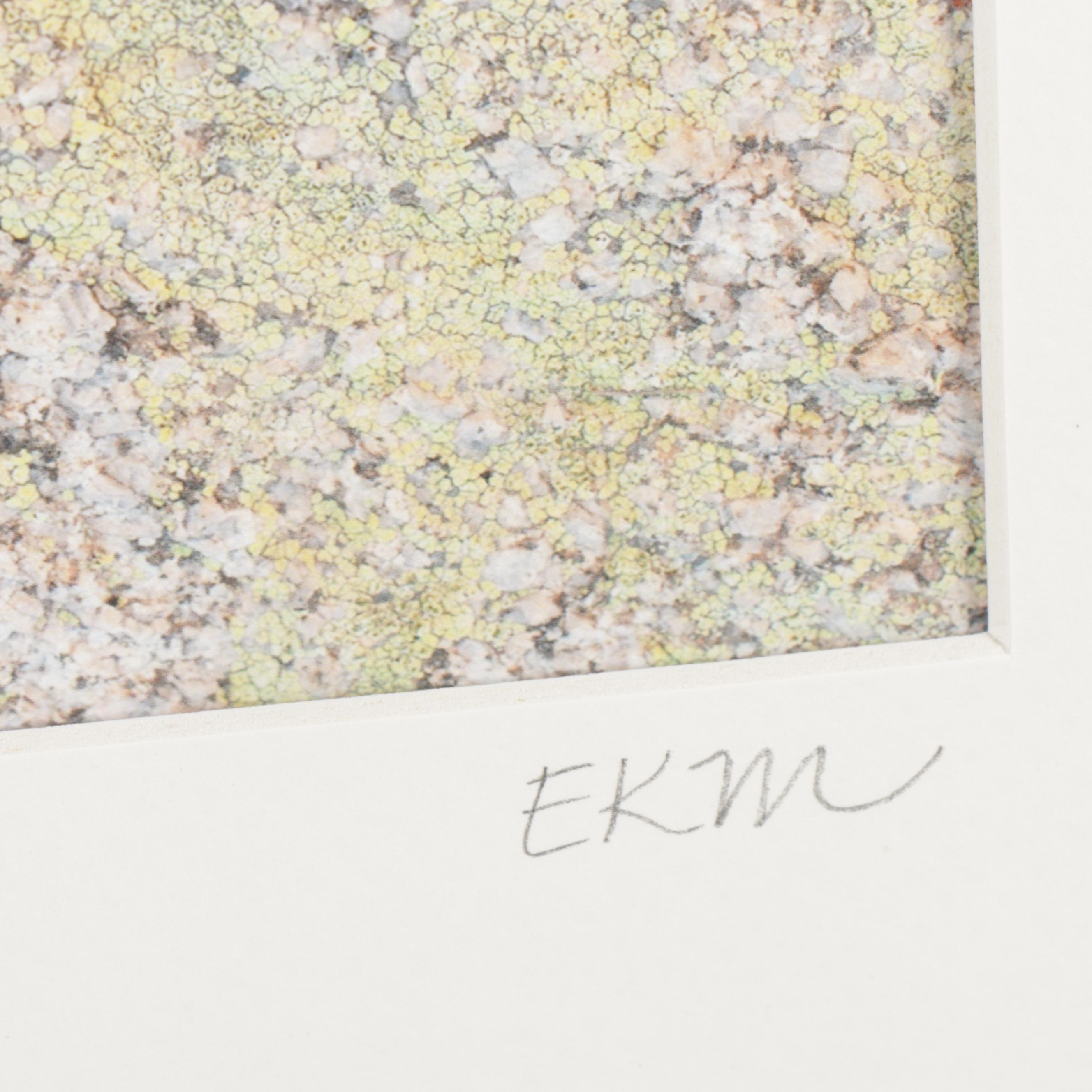 Erin McCarthy Print "Lichen on Granite"