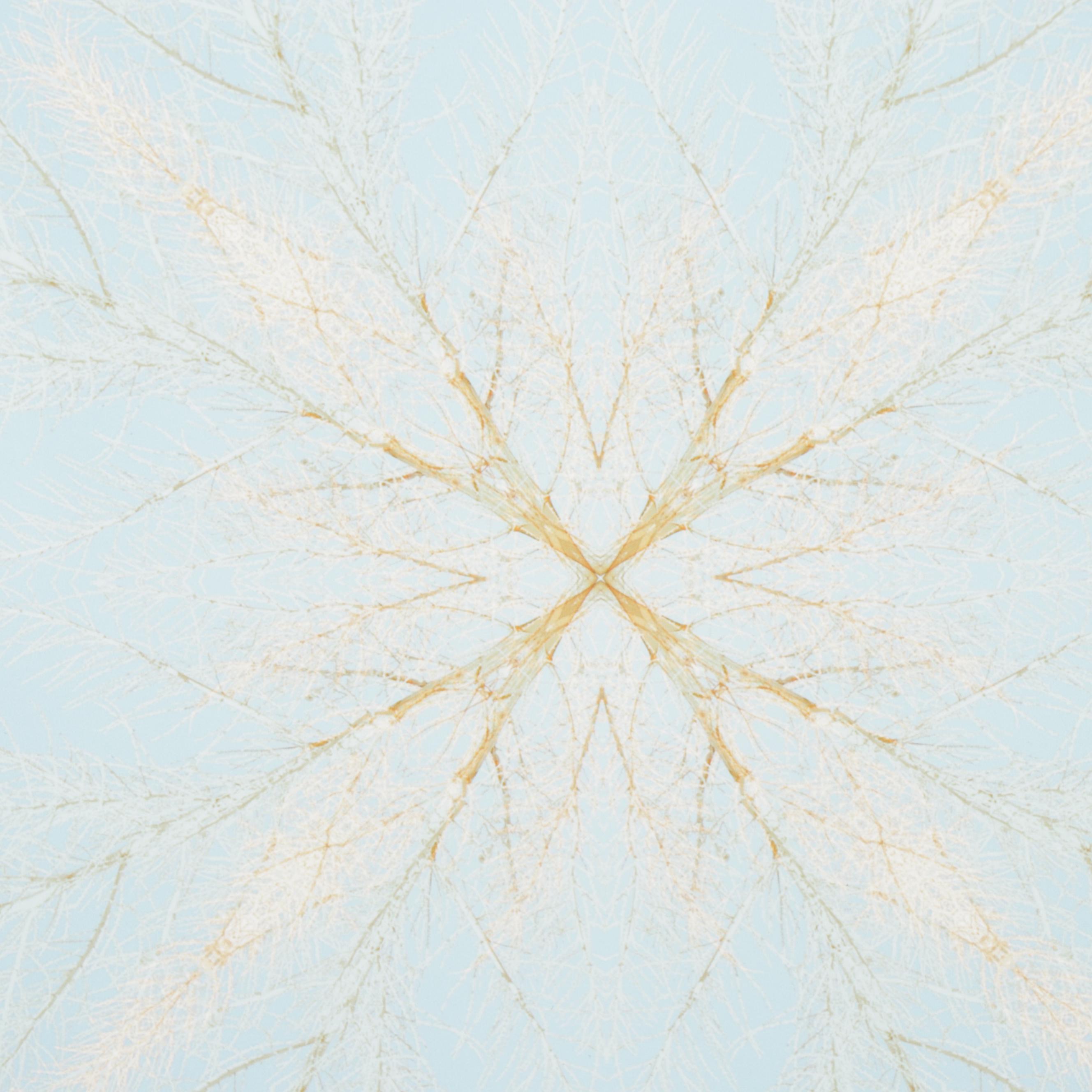 Erin McCarthy Print "Desert Snowflake"