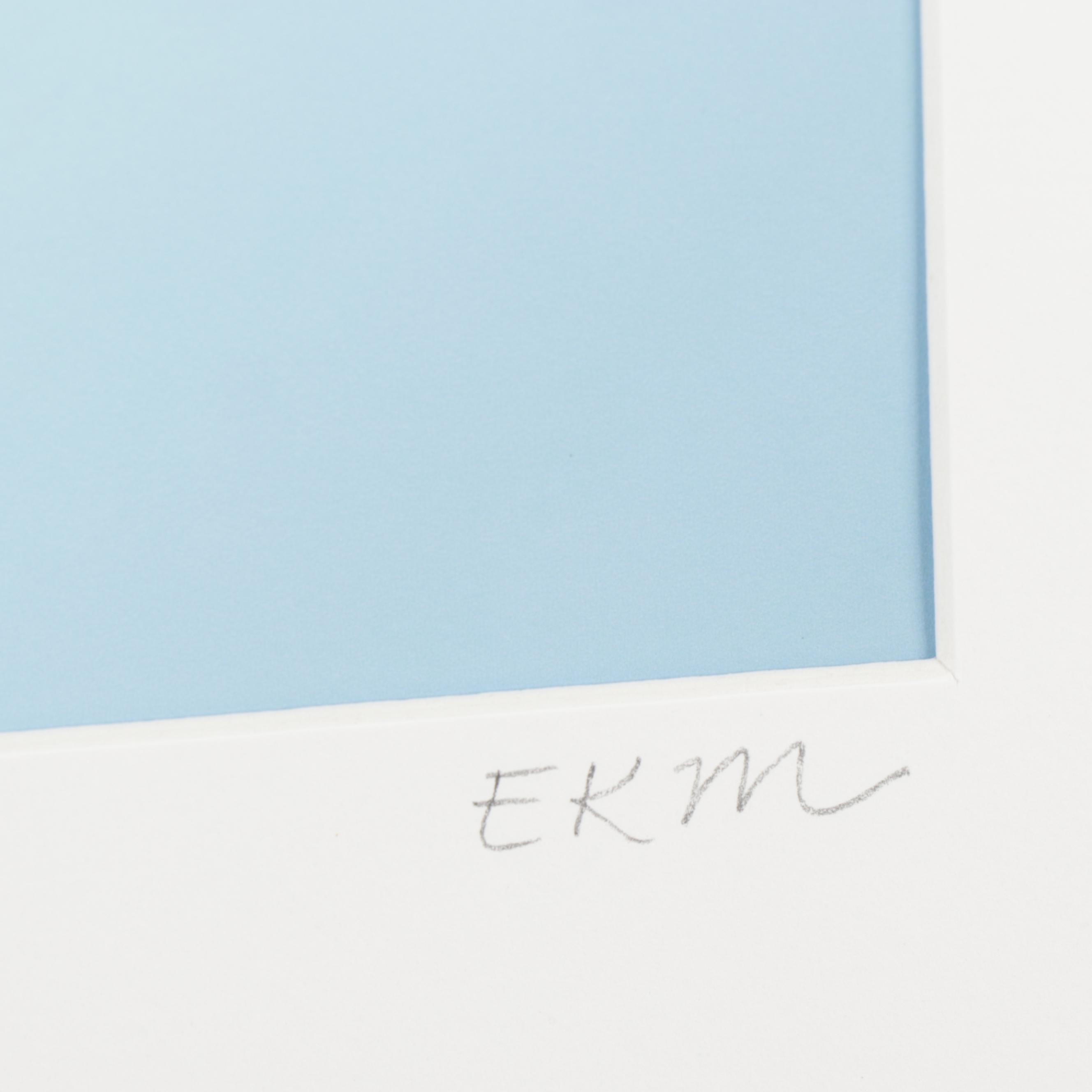 Erin McCarthy Print "Desert Snowflake"