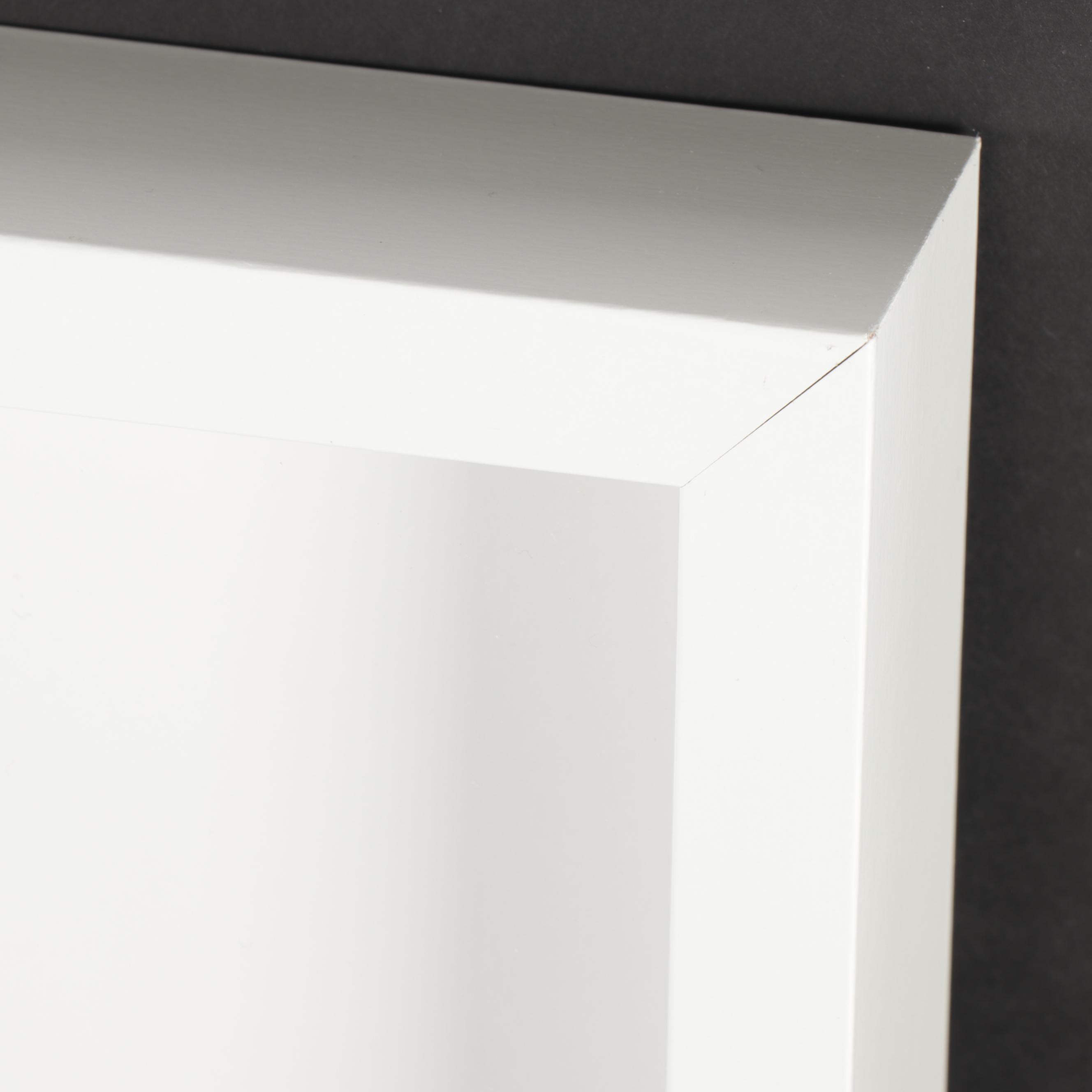 Erin McCarthy Print "Desert Snowflake"