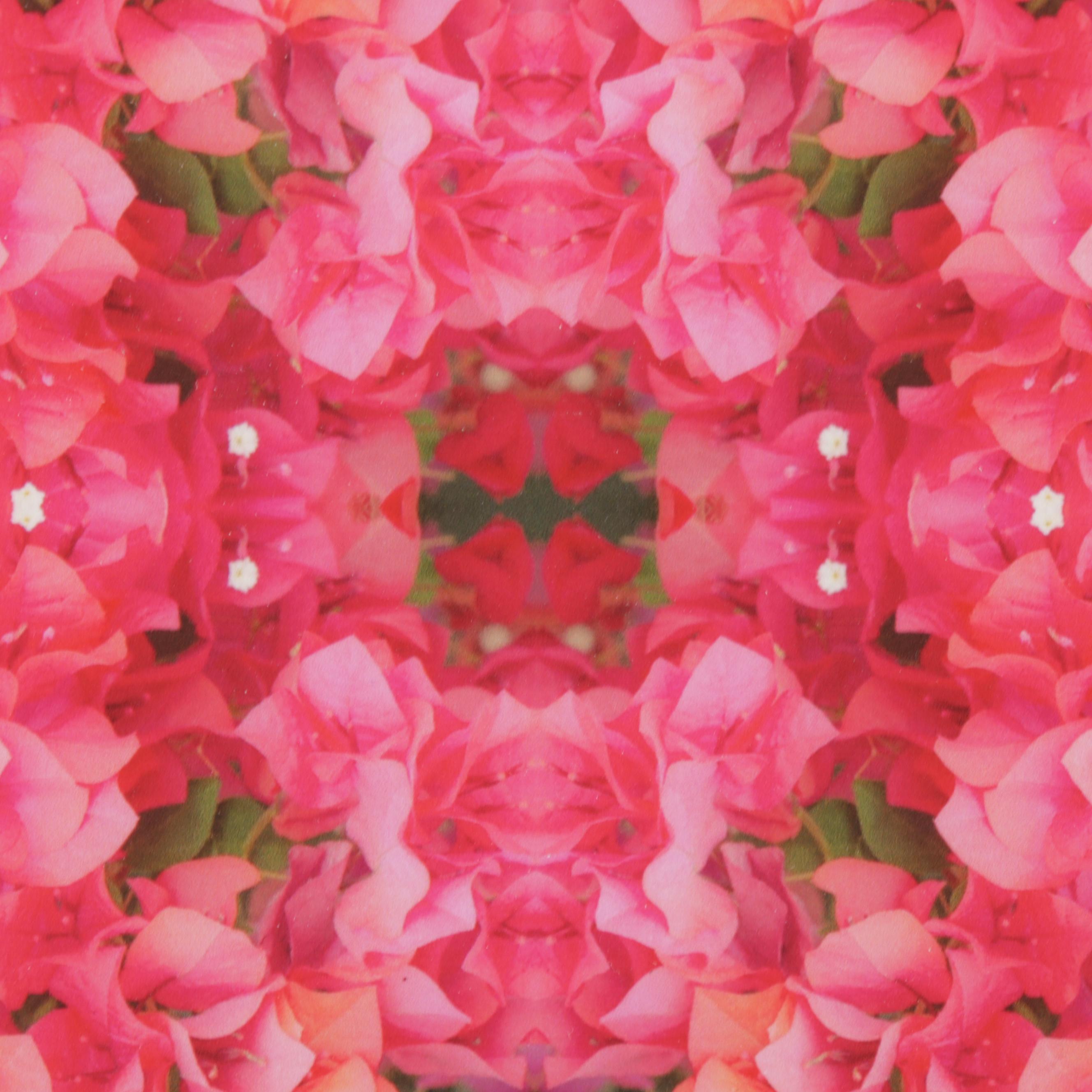 Erin McCarthy Print "Bougainvillea Study"