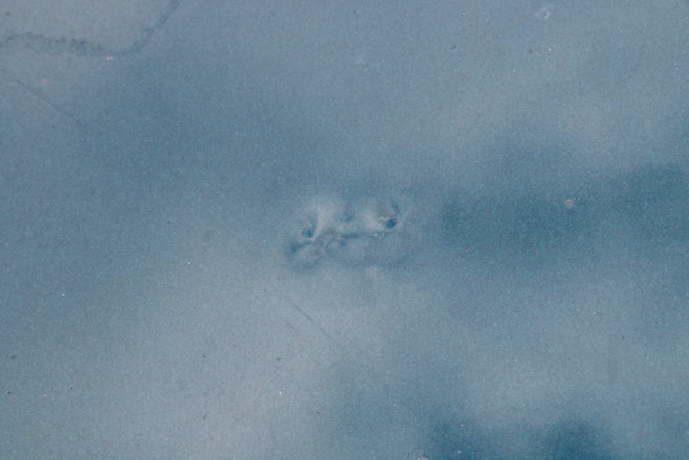 1998 Mercedes-Benz ML320