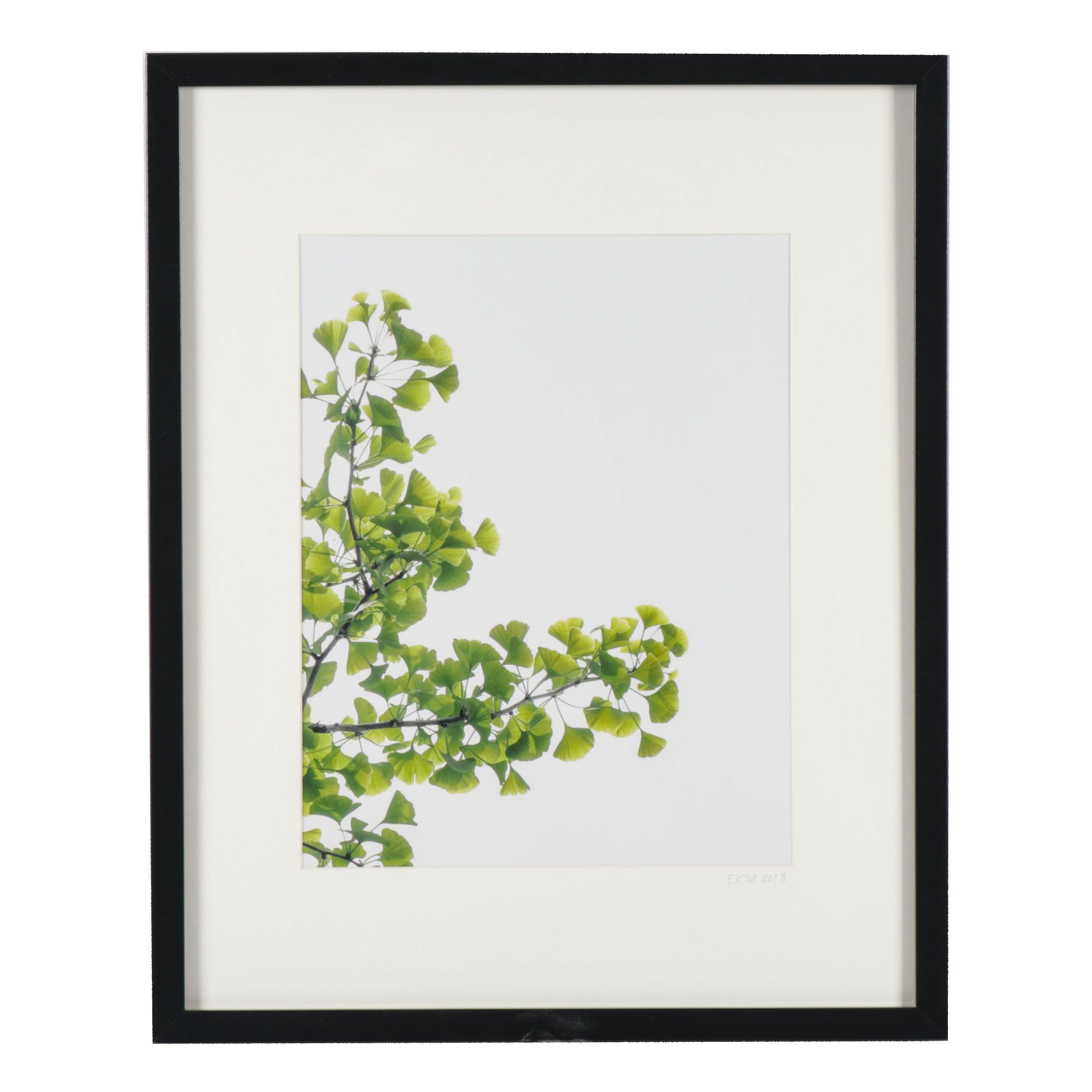 Erin McCarthy Print "Gingko Study II"