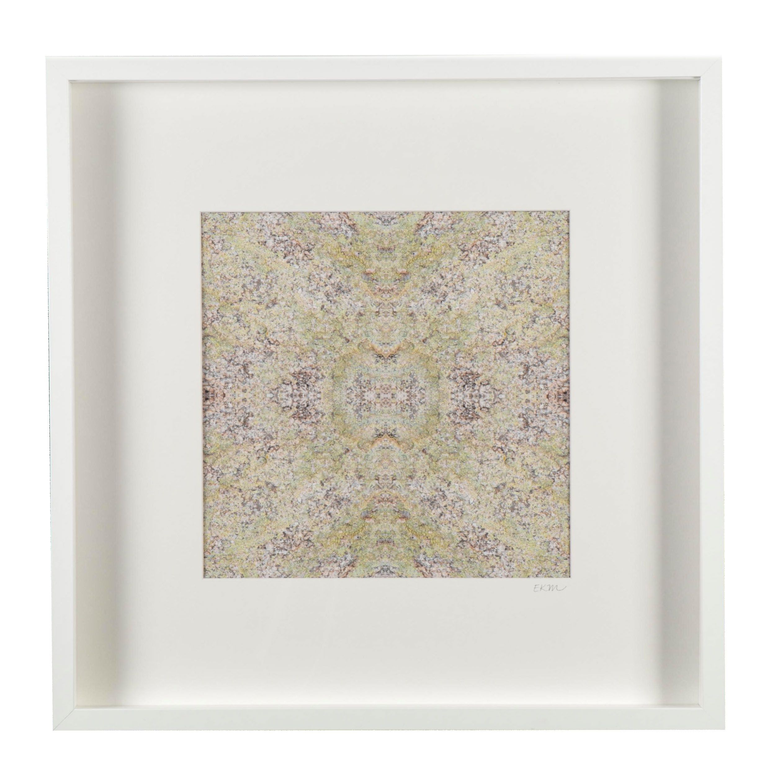 Erin McCarthy Print "Lichen on Granite"