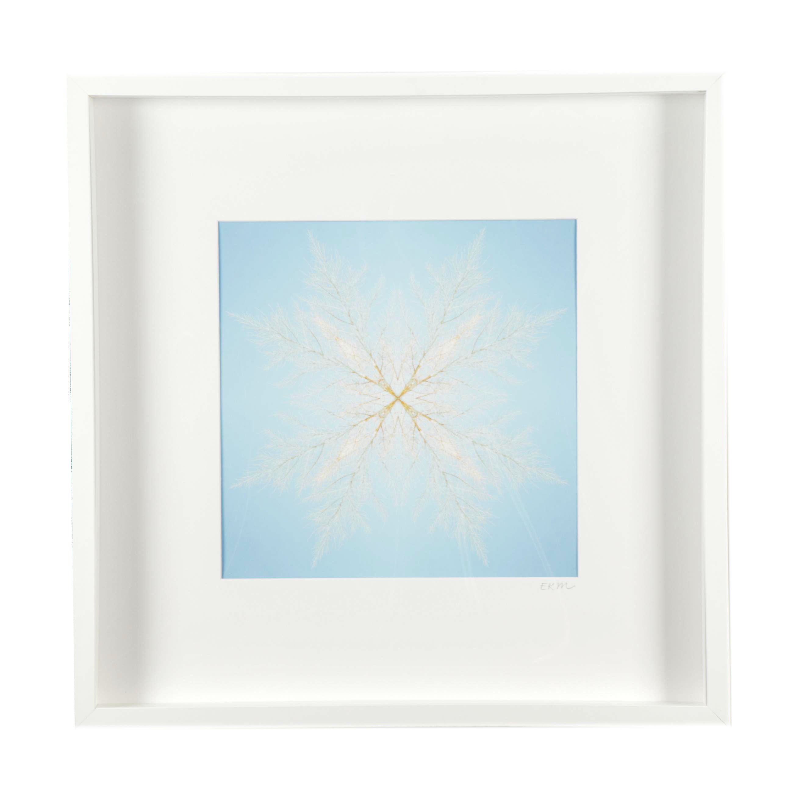 Erin McCarthy Print "Desert Snowflake"