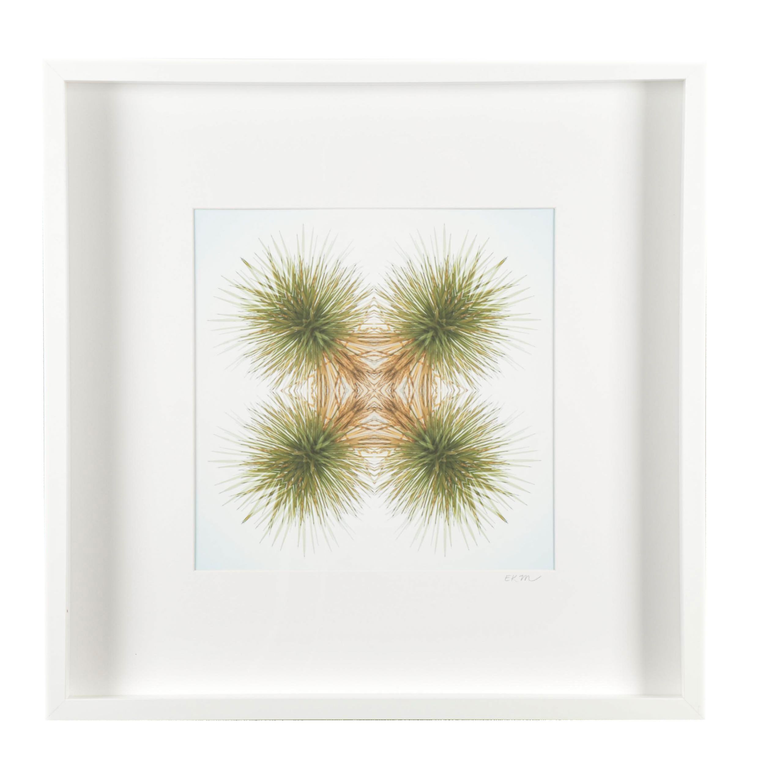 Erin McCarthy Print "Desert Plant"