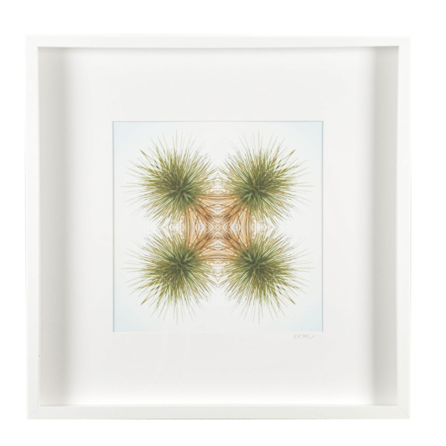 Erin McCarthy Print "Desert Plant"