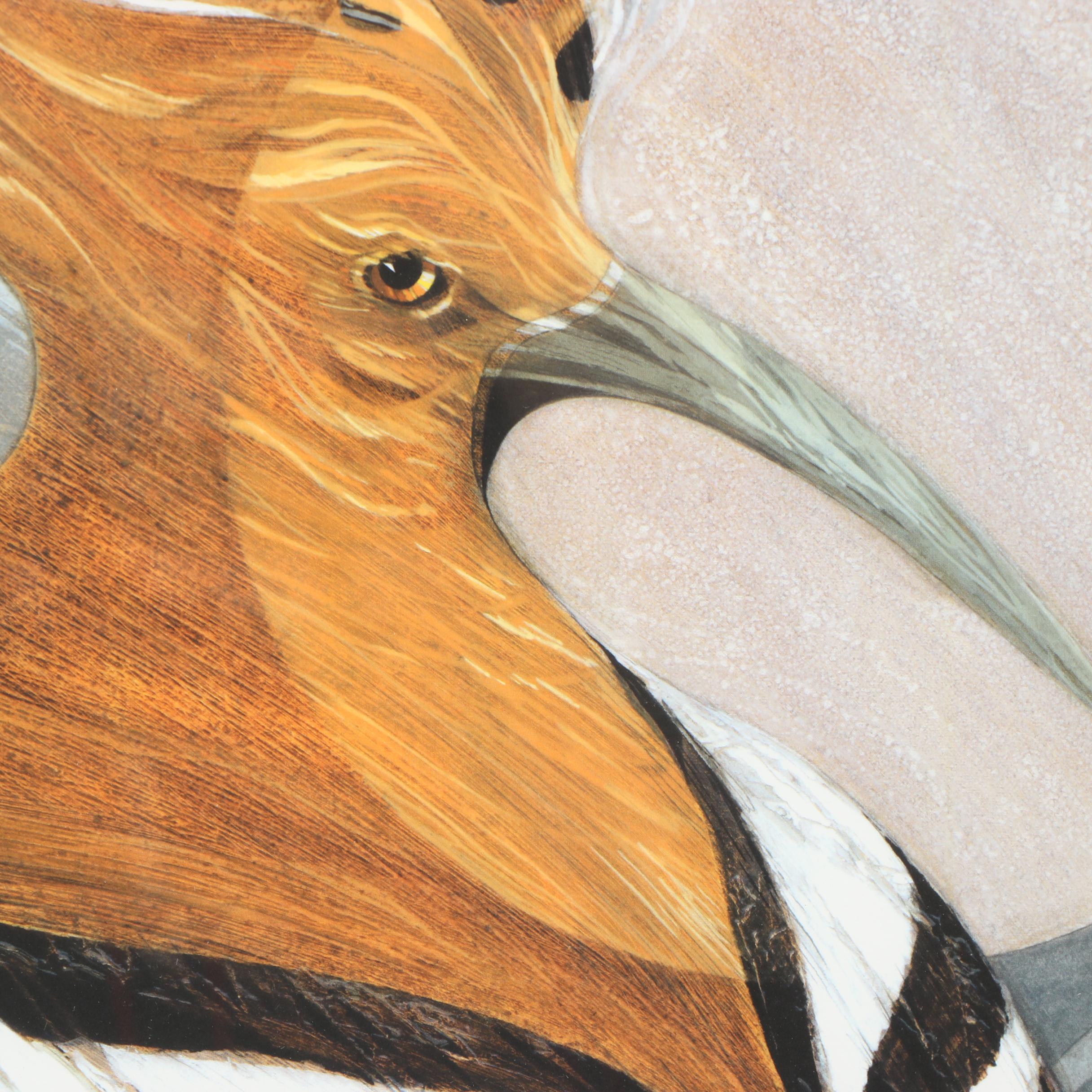 Arlene M. Voelker Giclée "Hoopoe"