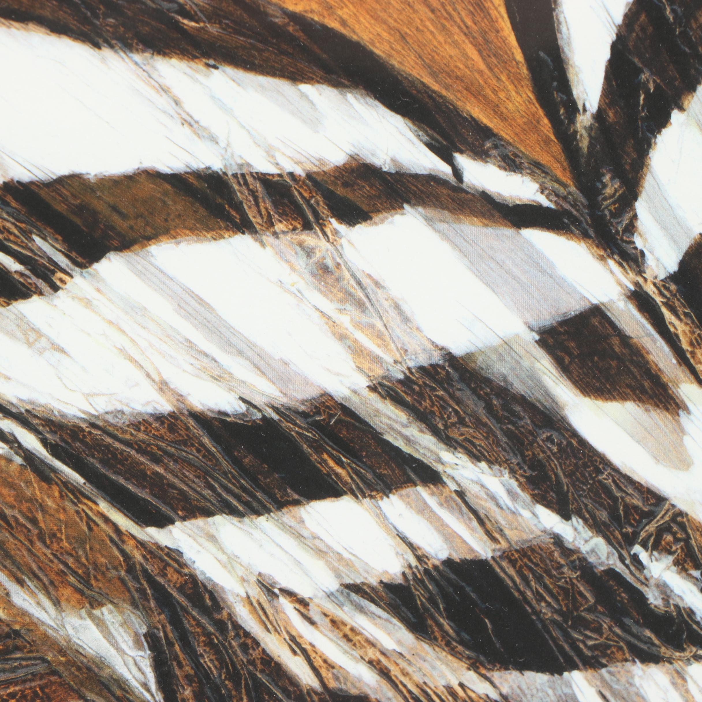 Arlene M. Voelker Giclée "Hoopoe"