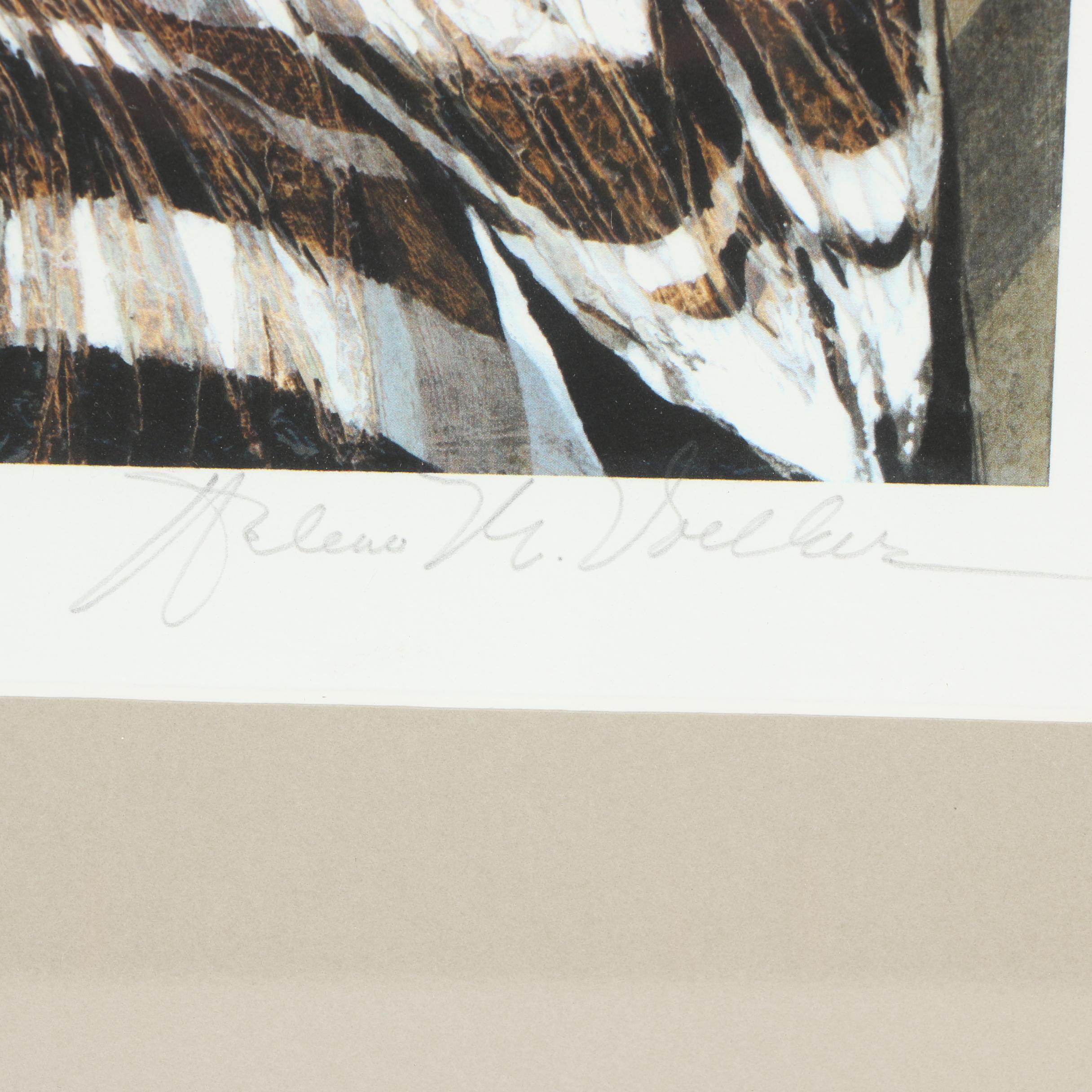 Arlene M. Voelker Giclée "Hoopoe"