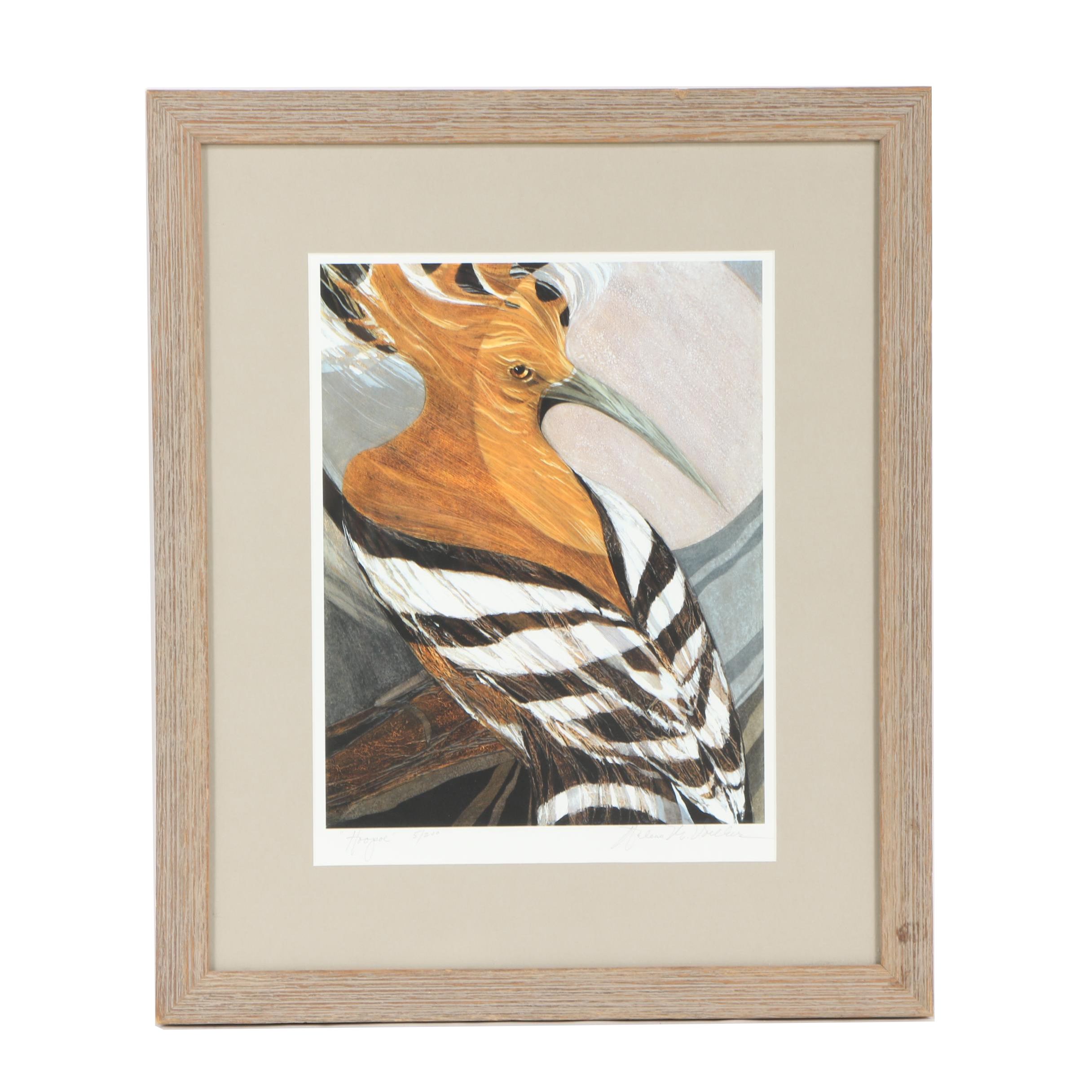 Arlene M. Voelker Giclée "Hoopoe"