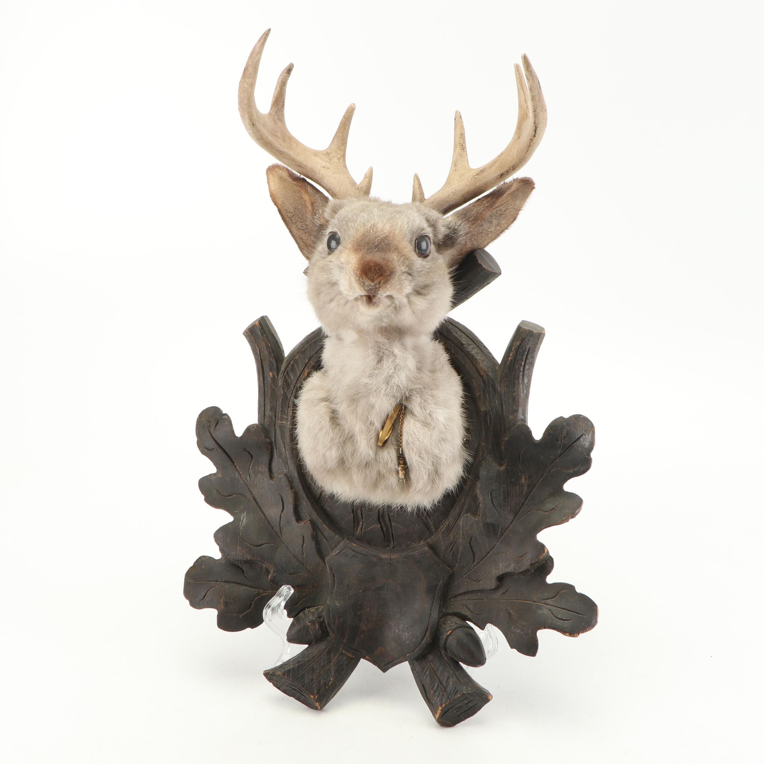 Taxidermy Embellished "Jackalope" Mount