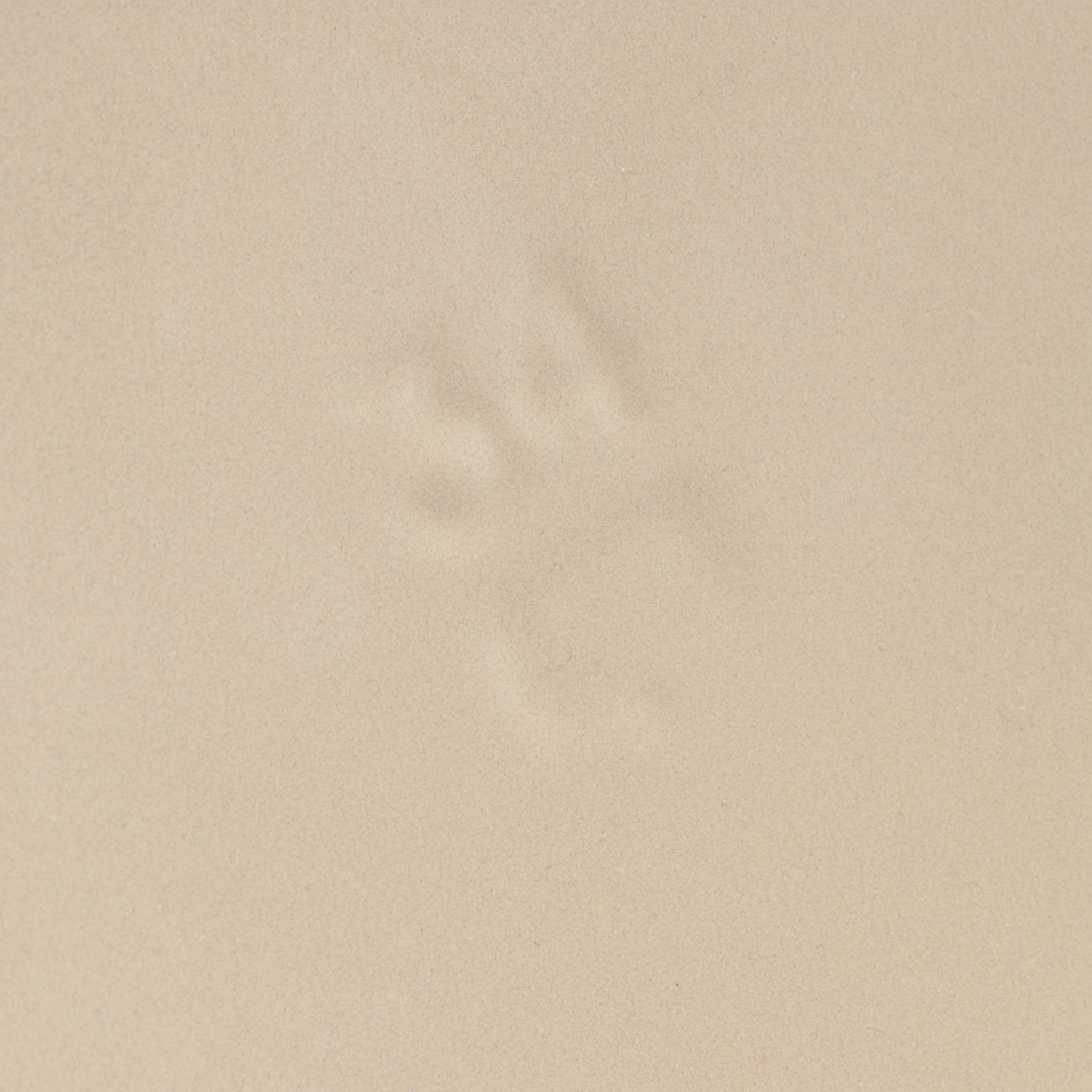 Le Creuset Cobalt Blue Enameled Cast Iron 13.25 Qt Round Oven