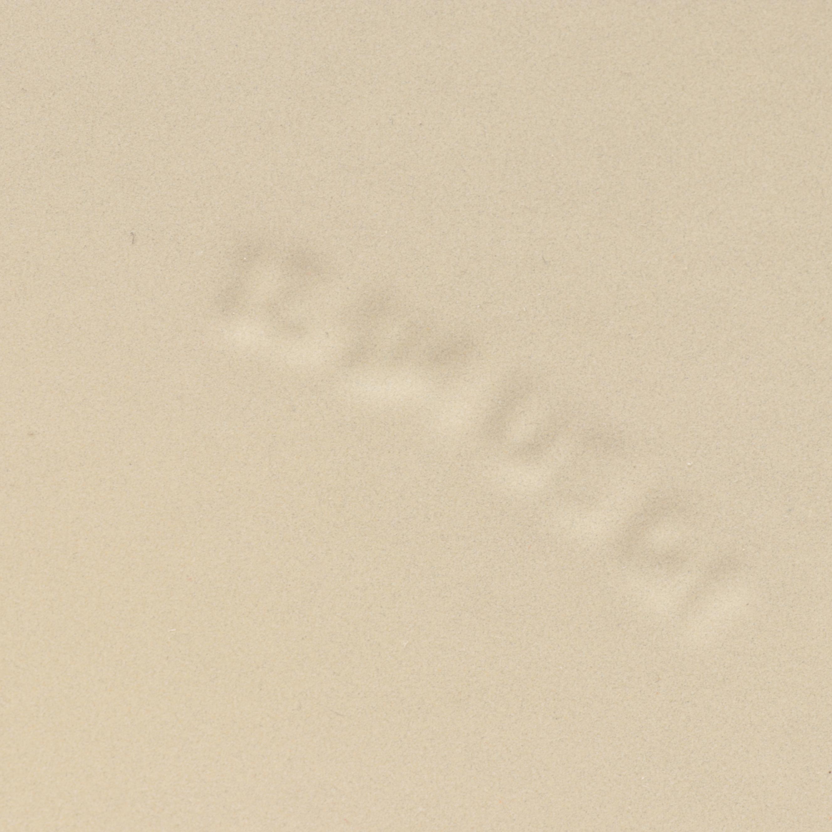 Le Creuset Cobalt Blue Enameled Cast Iron 13.25 Qt Round Oven