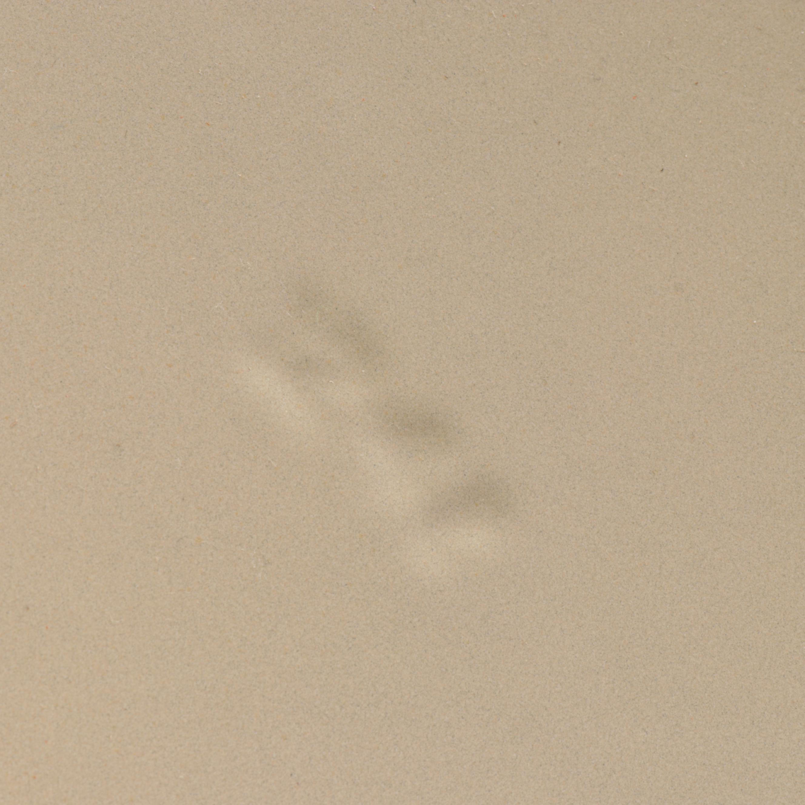 Le Creuset Cobalt Blue Enameled Cast Iron 13.25 Qt Round Oven