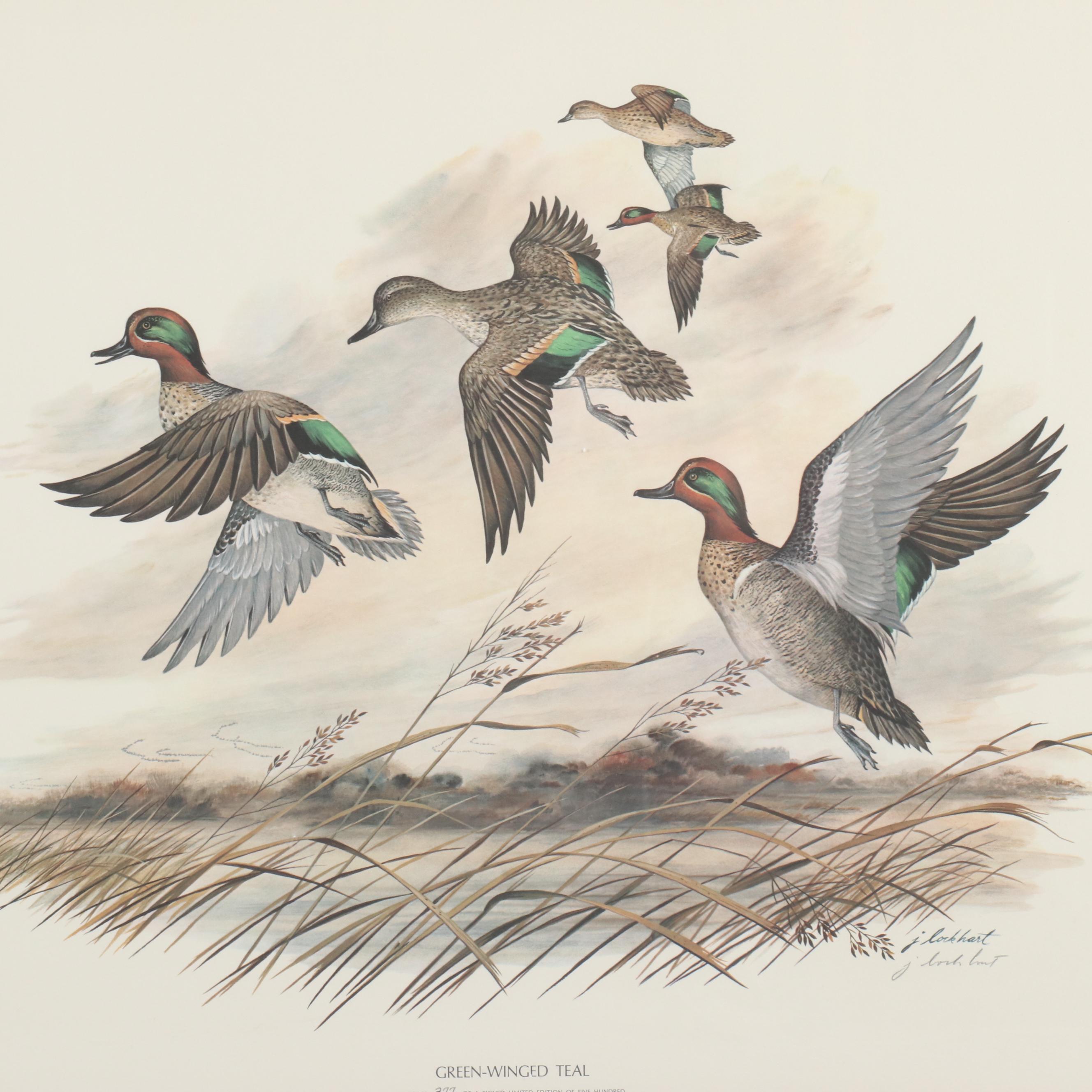 James Leland Lockhart Offset Lithograph "Green-Winged Teal"