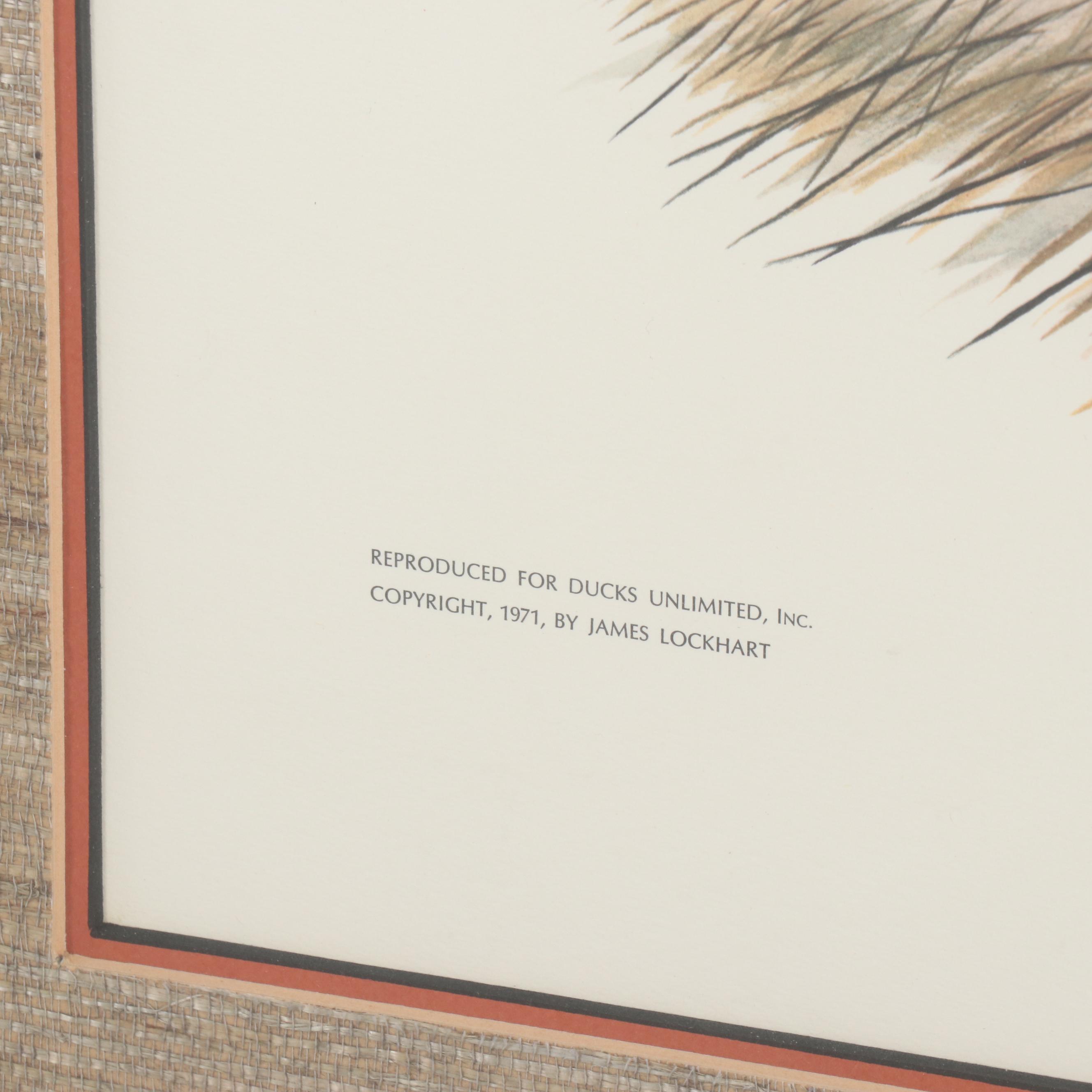 James Leland Lockhart Offset Lithograph "Green-Winged Teal"