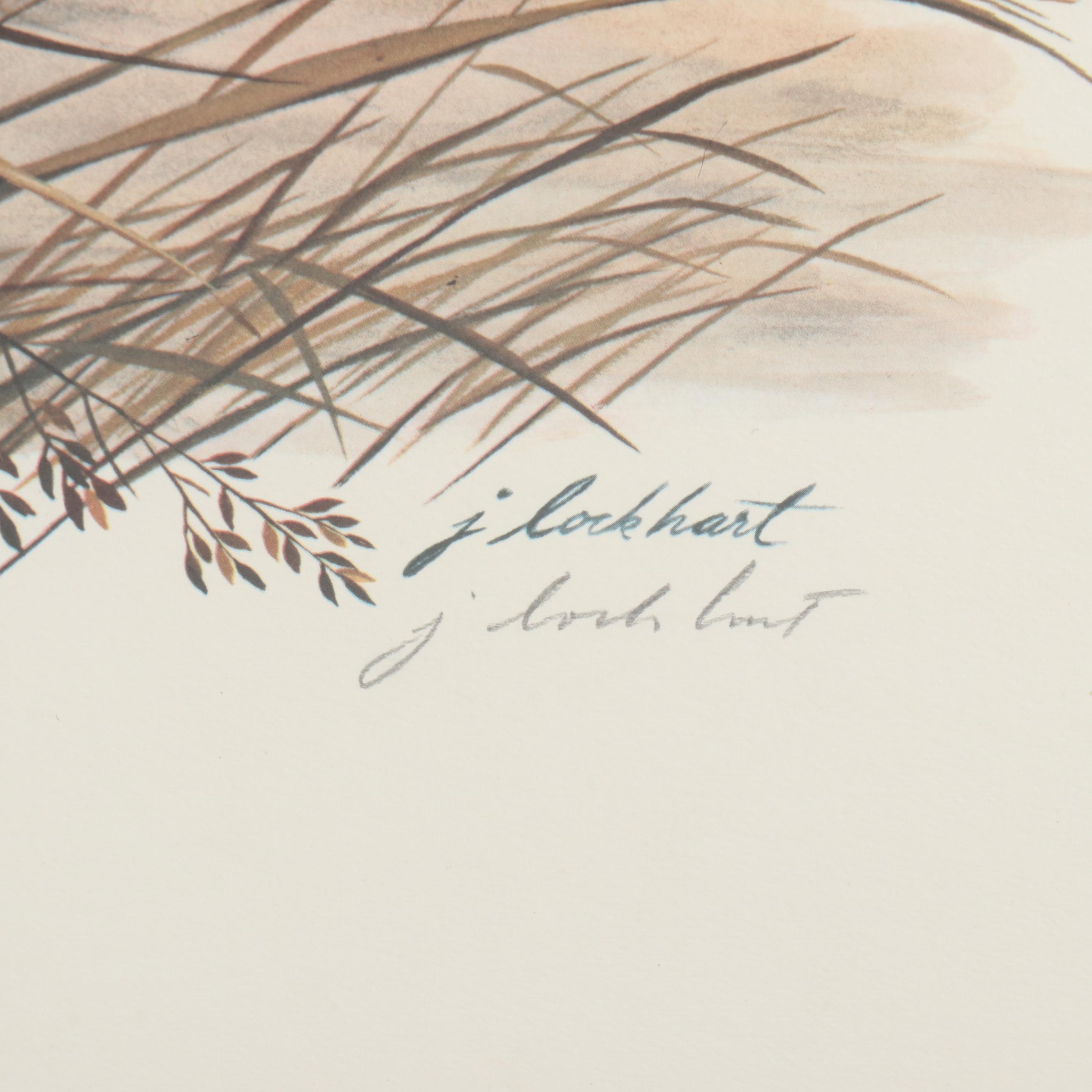 James Leland Lockhart Offset Lithograph "Green-Winged Teal"