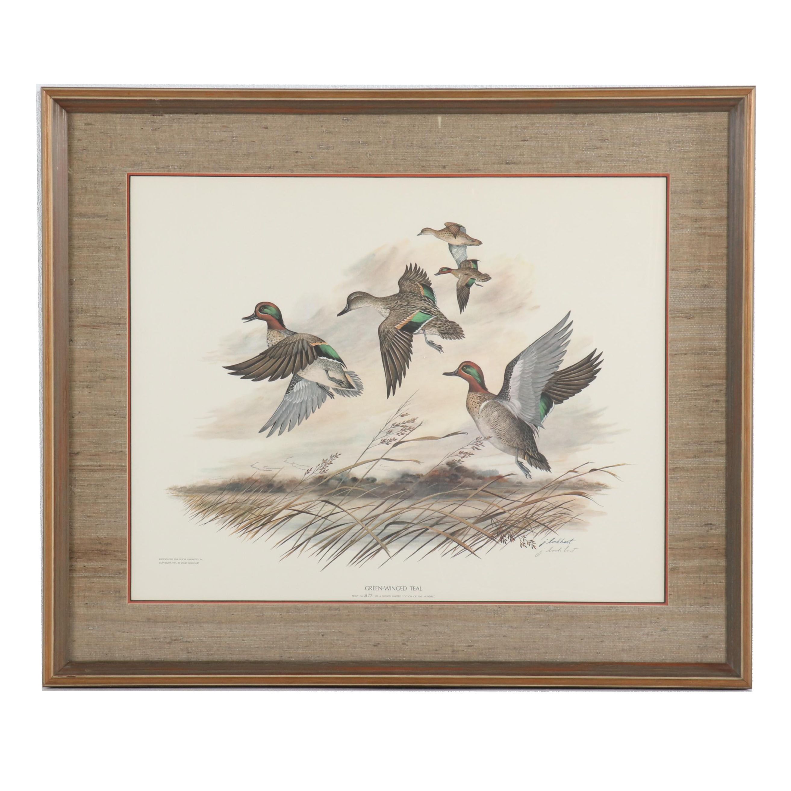 James Leland Lockhart Offset Lithograph "Green-Winged Teal"