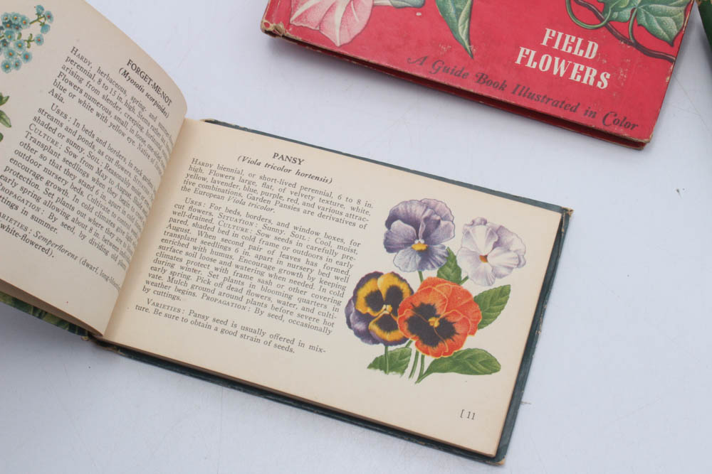 Whitman Illustrated Guide Books, 1930s-1940s