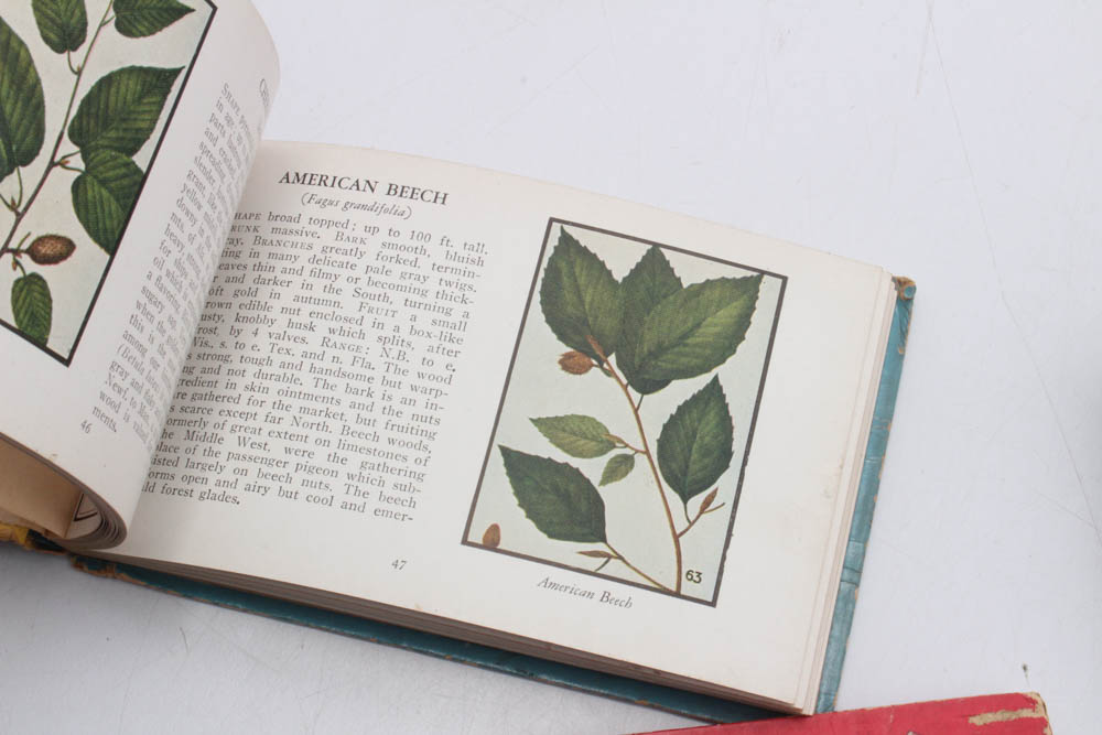 Whitman Illustrated Guide Books, 1930s-1940s