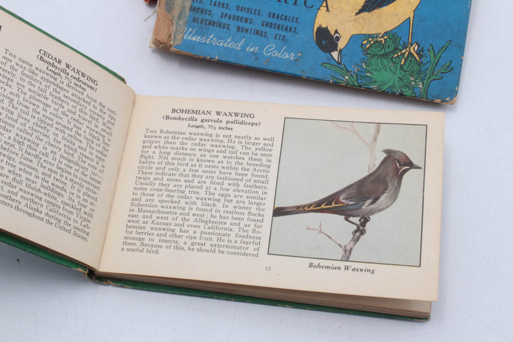 Whitman Illustrated Guide Books, 1930s-1940s