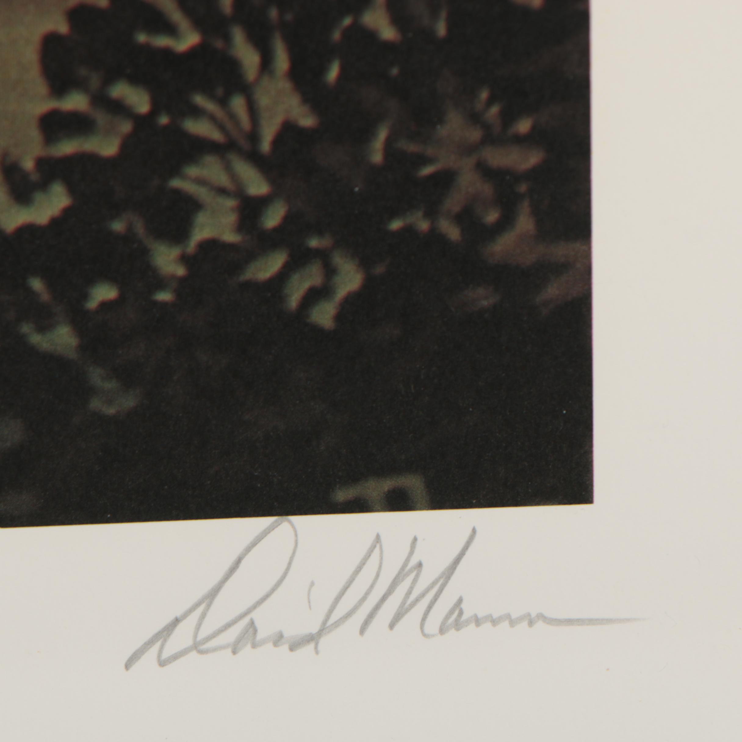 David Mann Offset Lithograph "Gothic House"