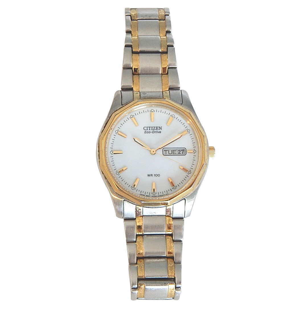 Two-Tone Citizen Eco-Drive Stainless Steel Watch