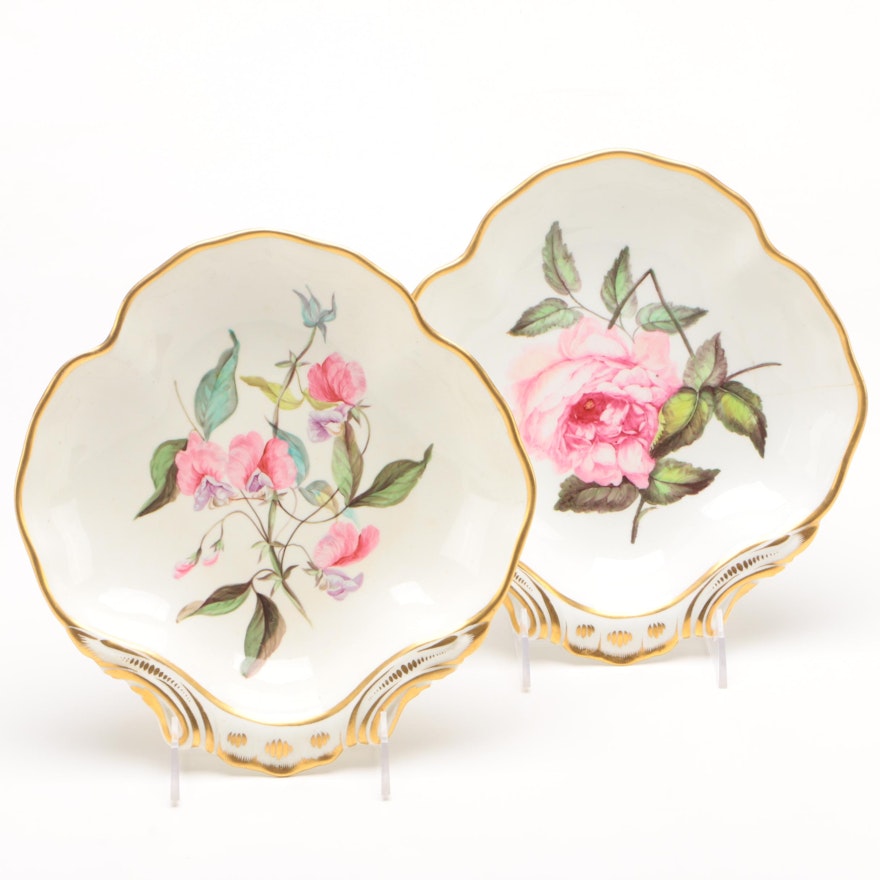 Duesbury Derby Botanical Painted Shell Dessert Dishes