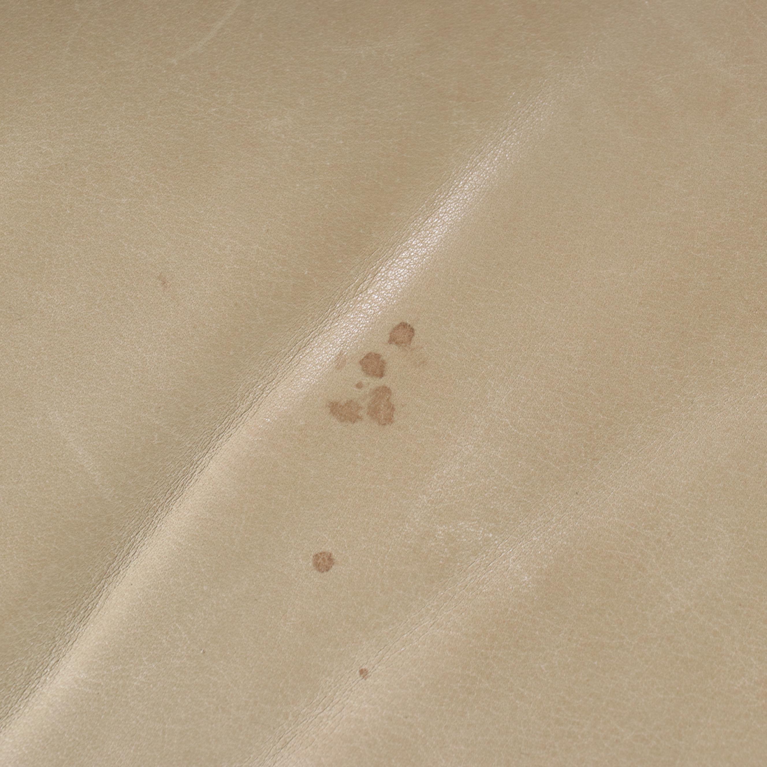 Contemporary Leather Camelback Sofa with Nailhead Trim