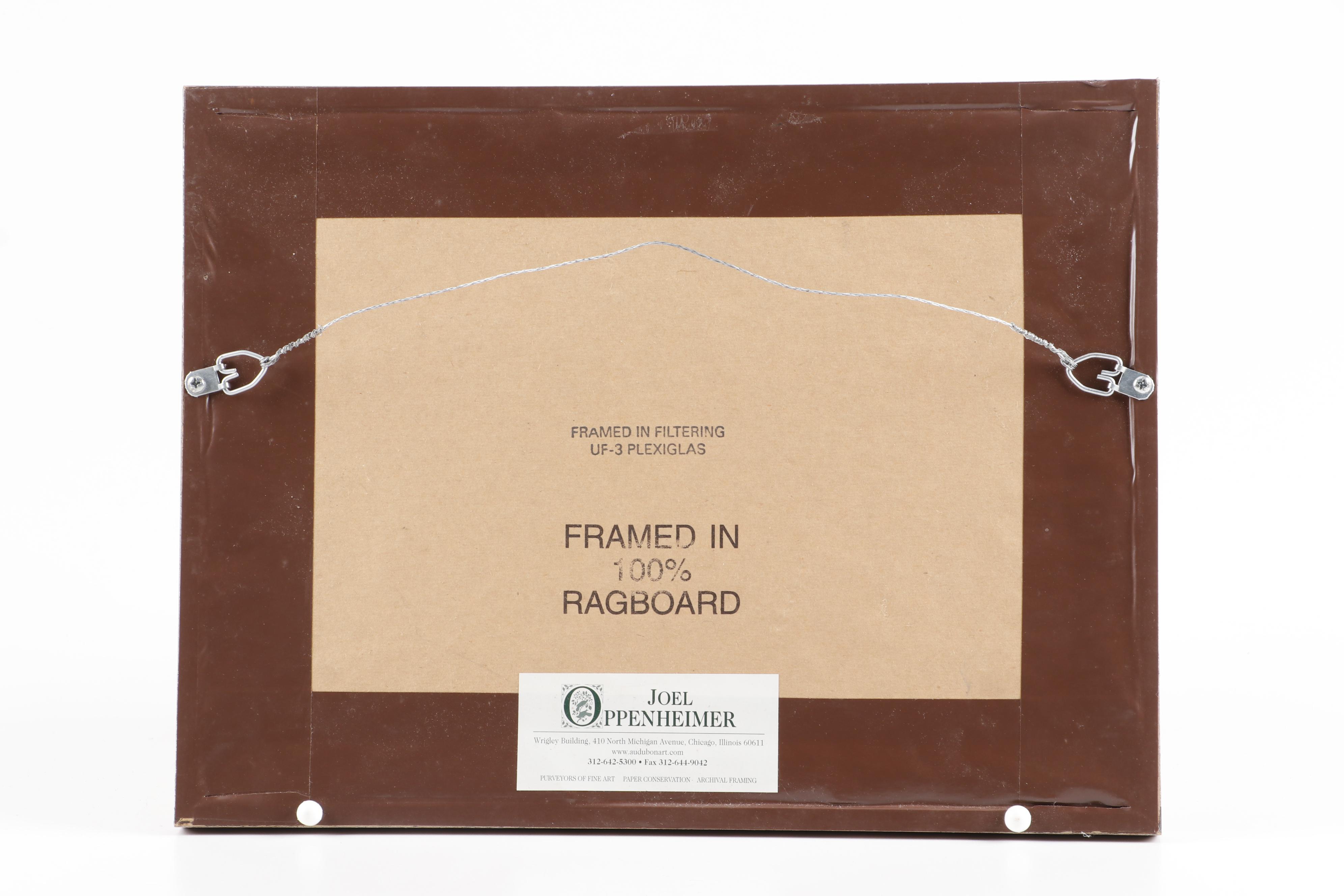 Etching after Felix-Hilaire Buhot "Feuilles d'ânes du Midi"