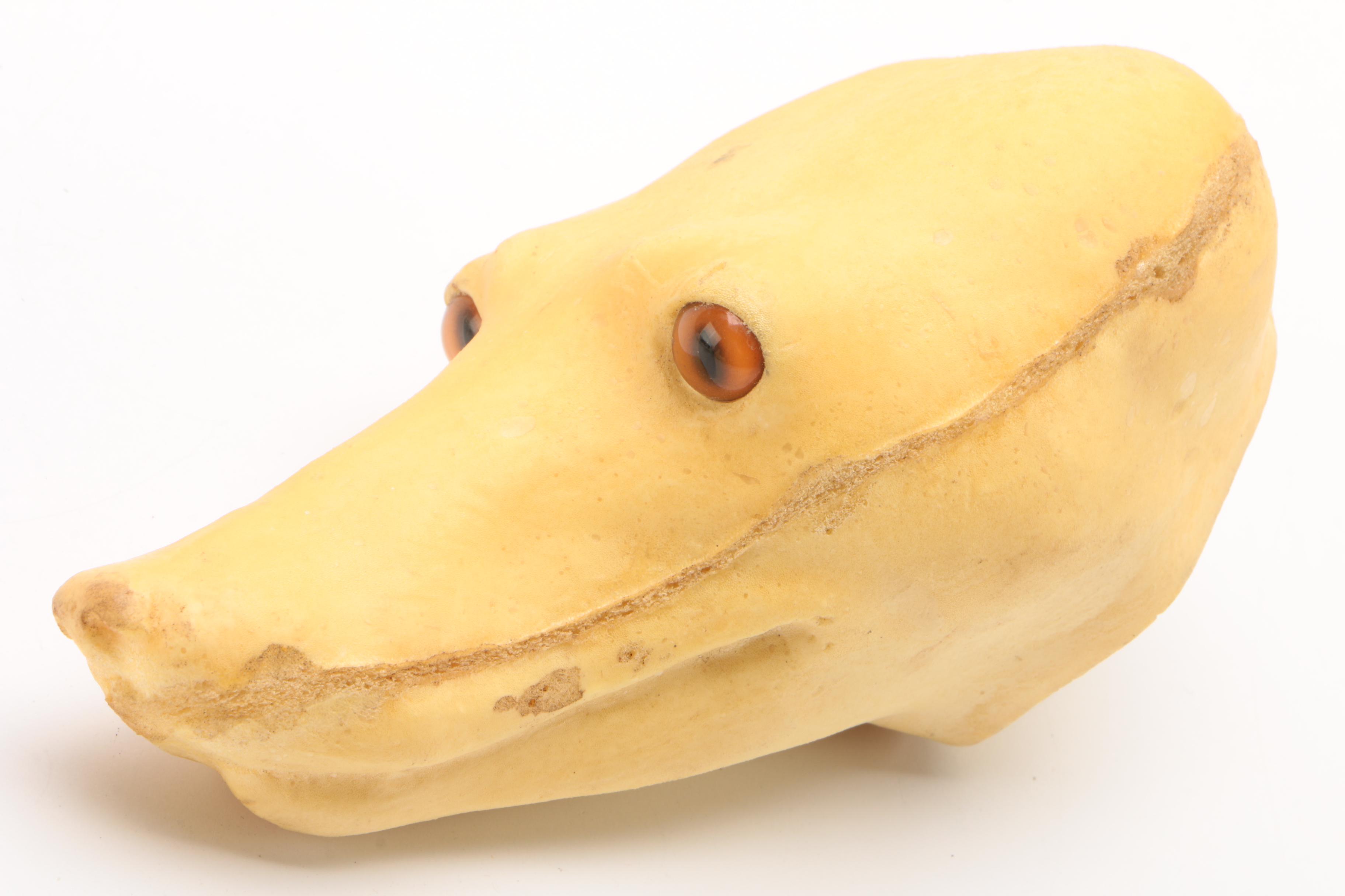 Red Fox Taxidermy Head and Body Forms