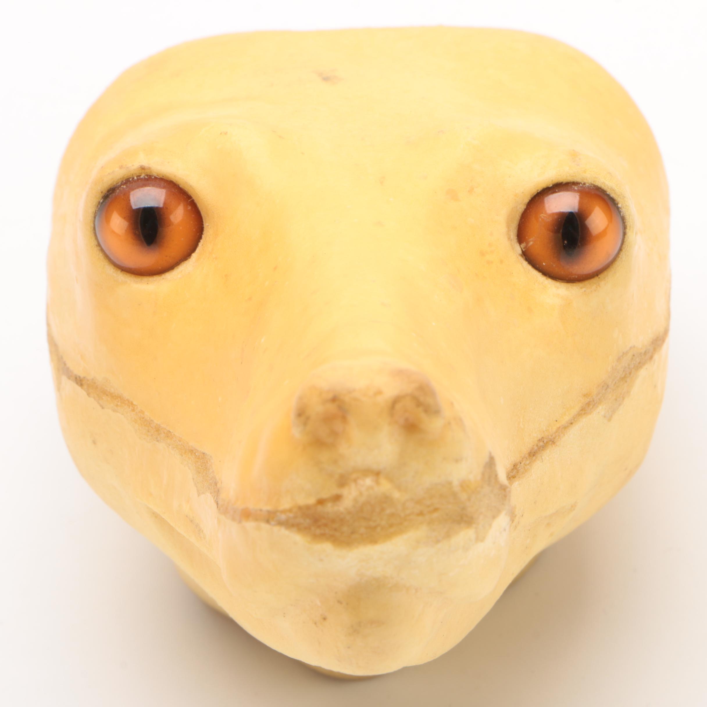 Red Fox Taxidermy Head and Body Forms