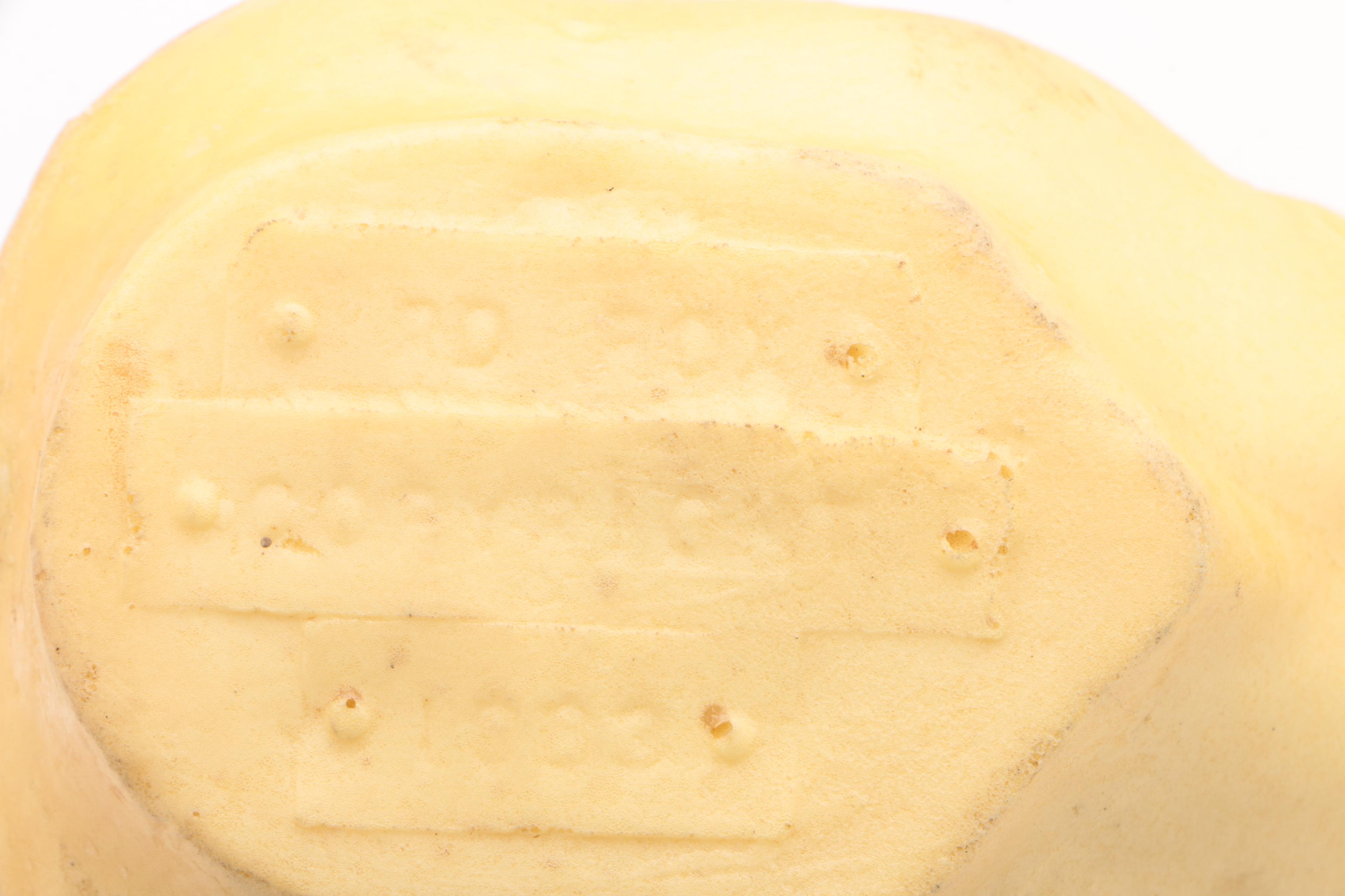 Red Fox Taxidermy Head and Body Forms