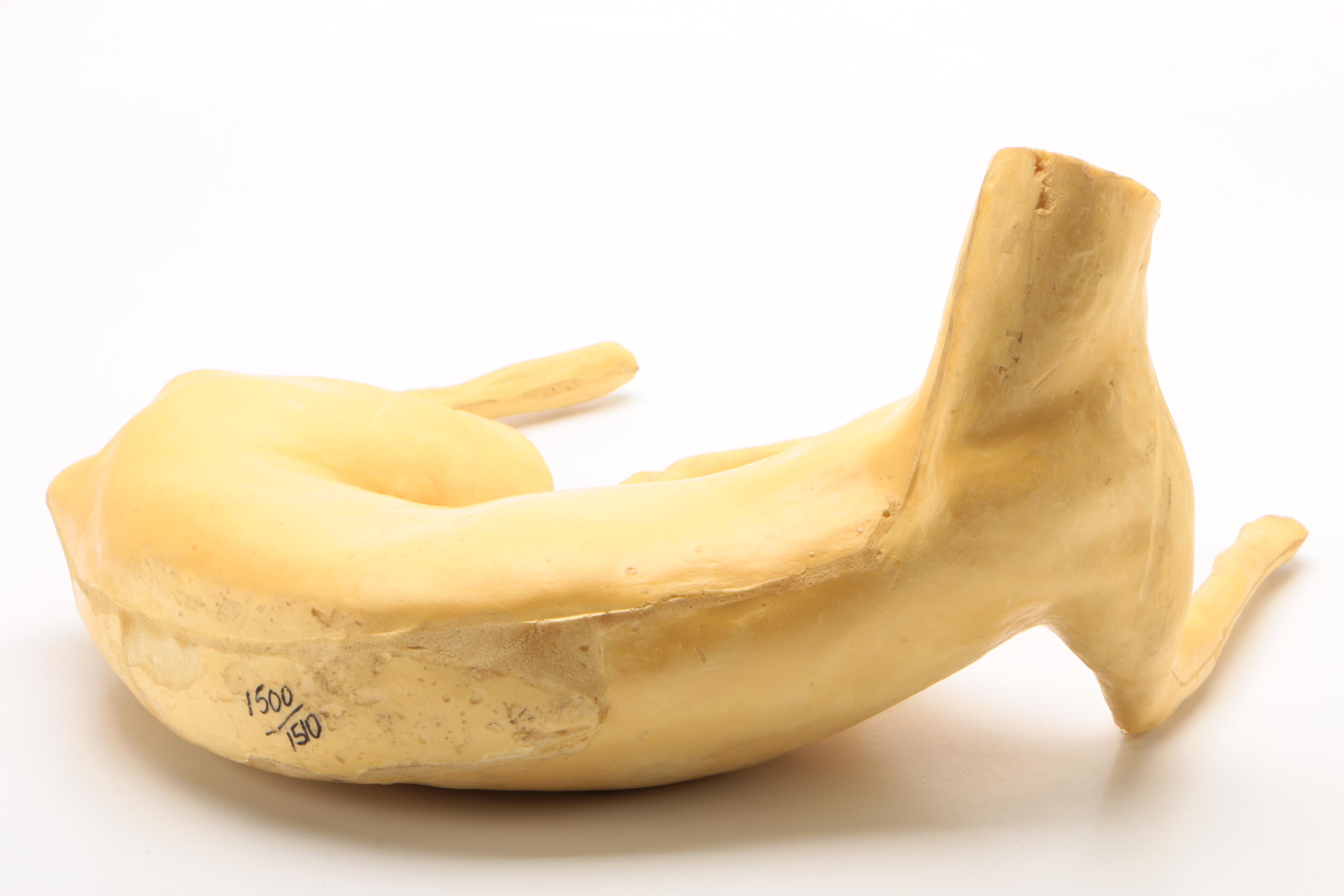 Red Fox Taxidermy Head and Body Forms