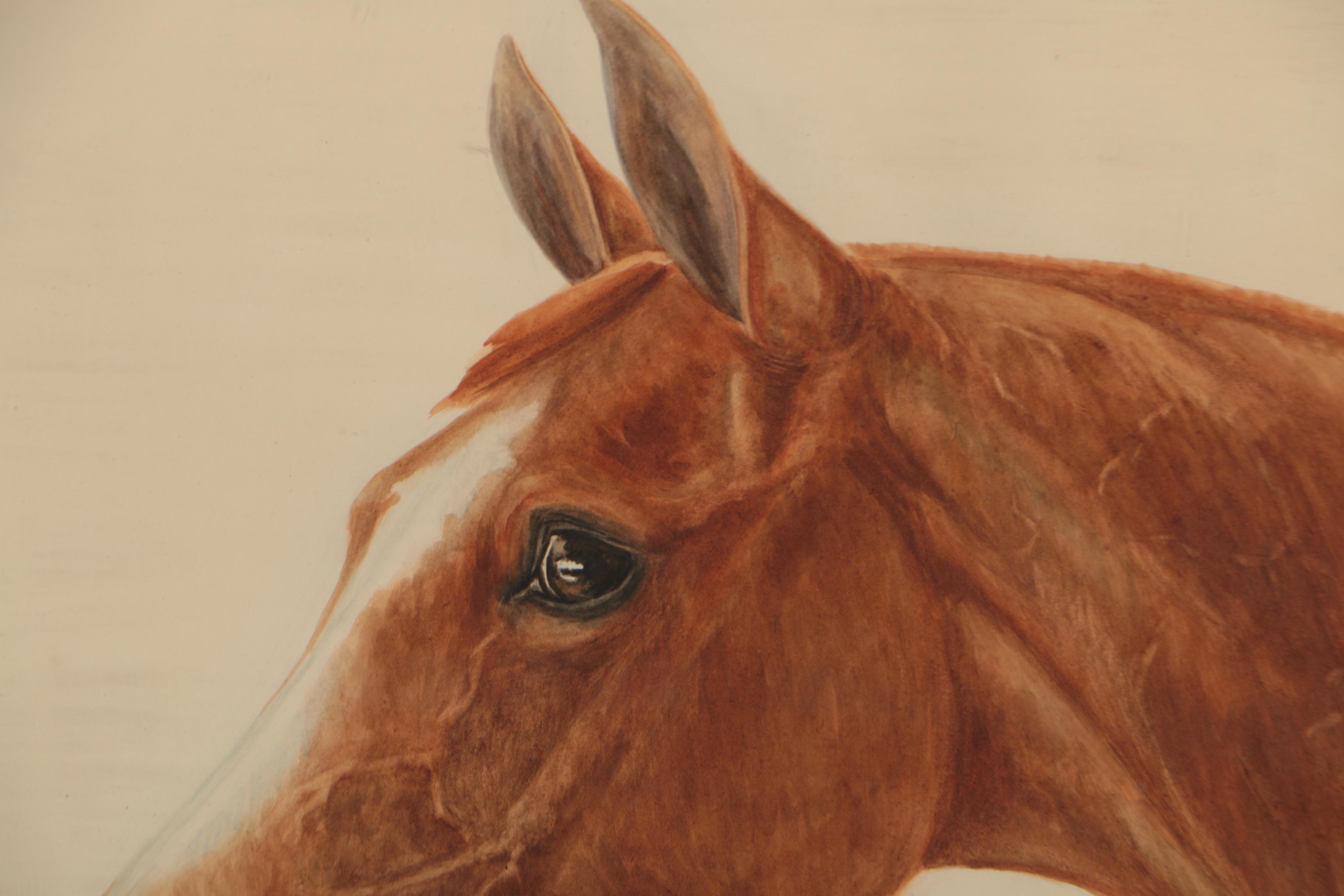Billy Dohlman Chestnut 1934 Watercolor Painting of Horse