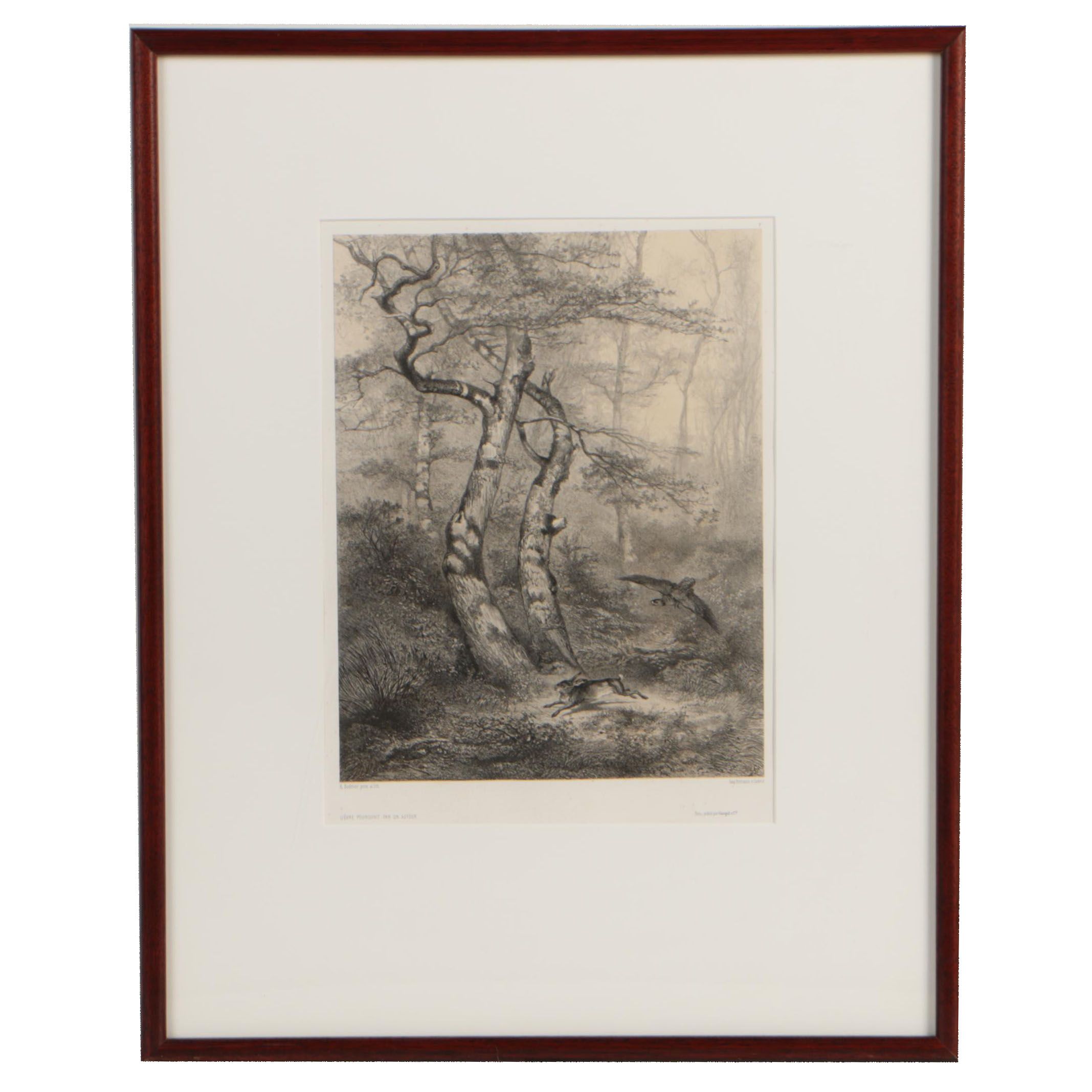 Karl Bodmer Restrike Lithograph "Lièvre pousuivit un autour"